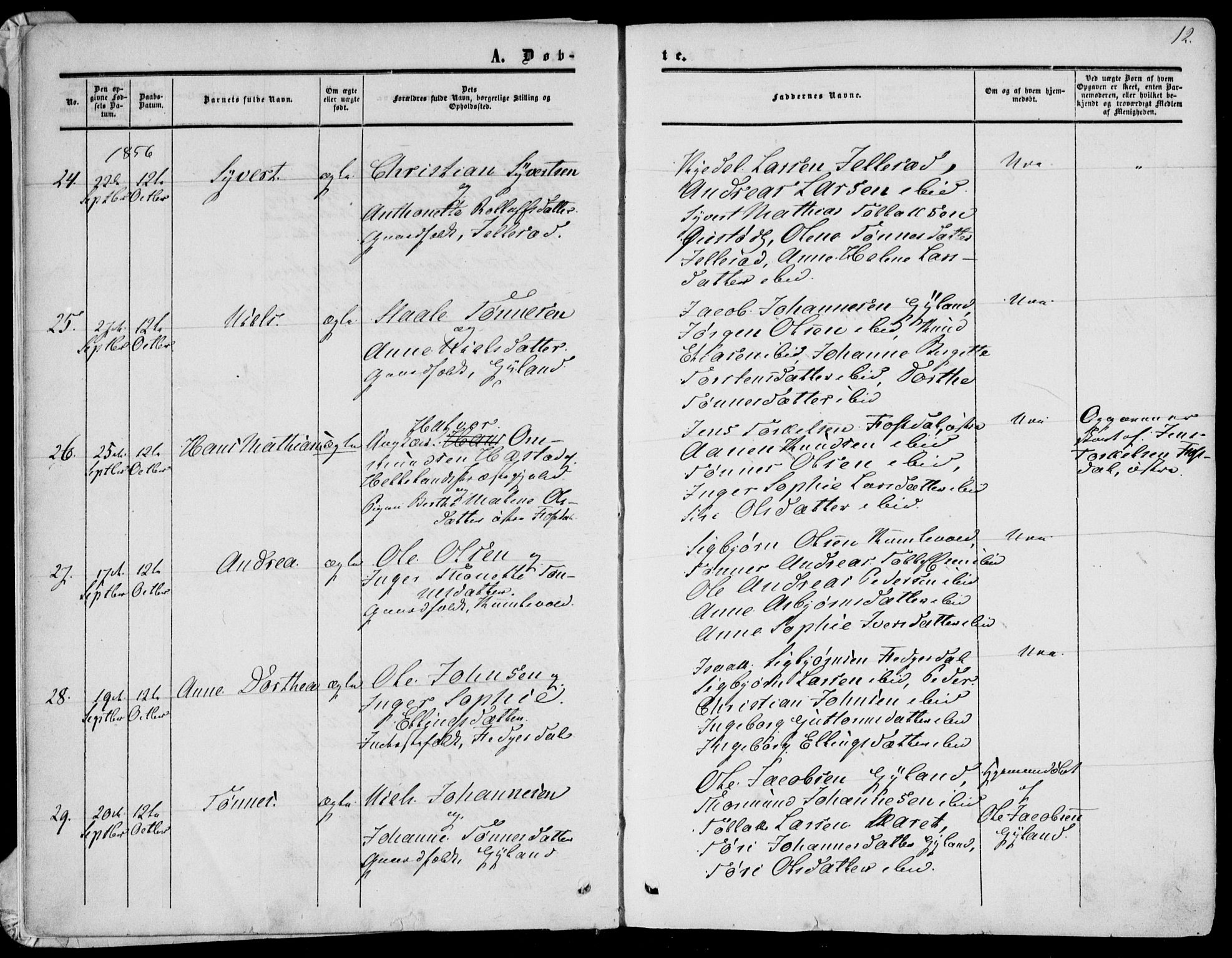 Bakke sokneprestkontor, AV/SAK-1111-0002/F/Fa/Fab/L0002: Parish register (official) no. A 2, 1855-1884, p. 12