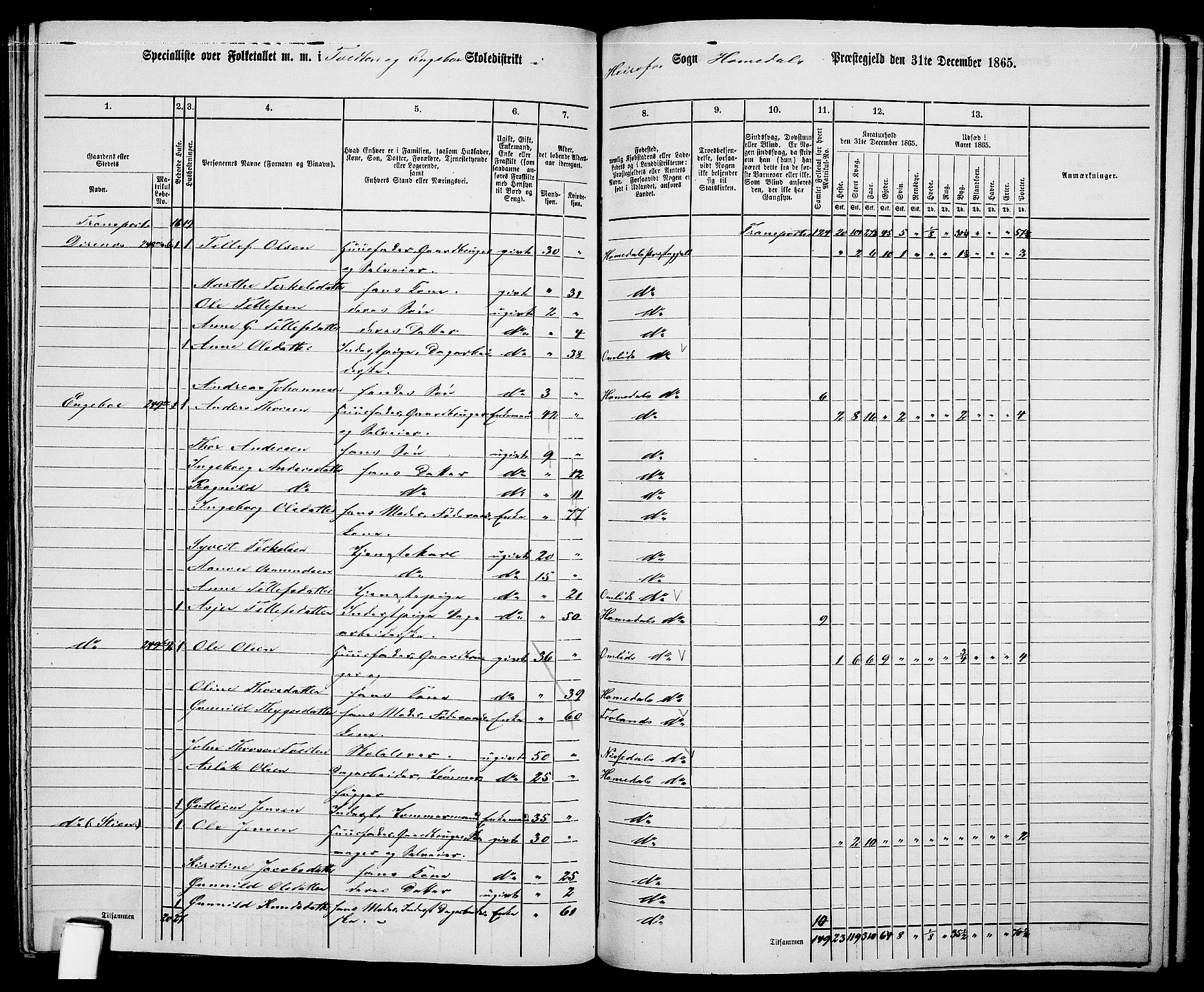 RA, 1865 census for Homedal, 1865, p. 148