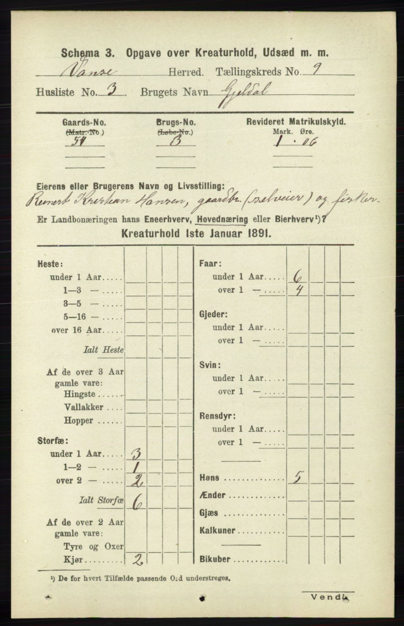 RA, 1891 census for 1041 Vanse, 1891, p. 9593