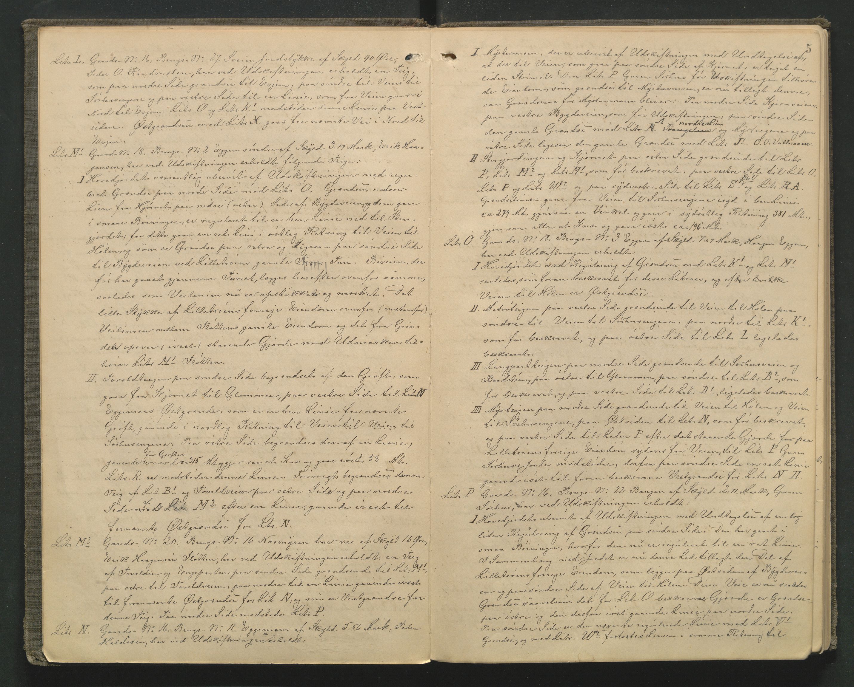 Utskiftningsformannen i Hedmark fylke, AV/SAH-JORDSKIFTEH-001/H/Ha/L0005/0001: Forhandlingsprotokoller, nr. 8 og 10 / Forhandlingsprotokoll nr. 8, 1894-1898