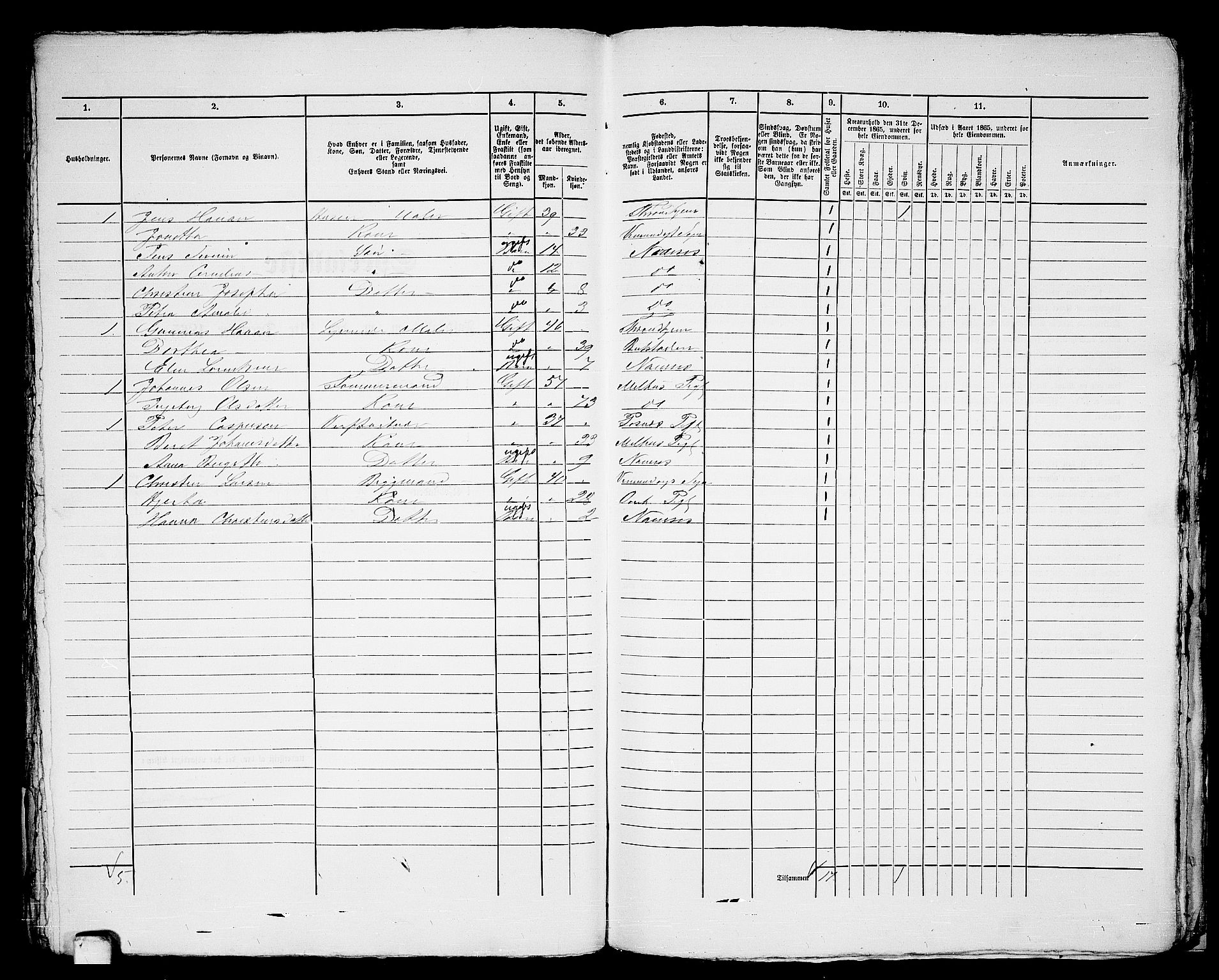 RA, 1865 census for Namsos/Namsos, 1865, p. 133