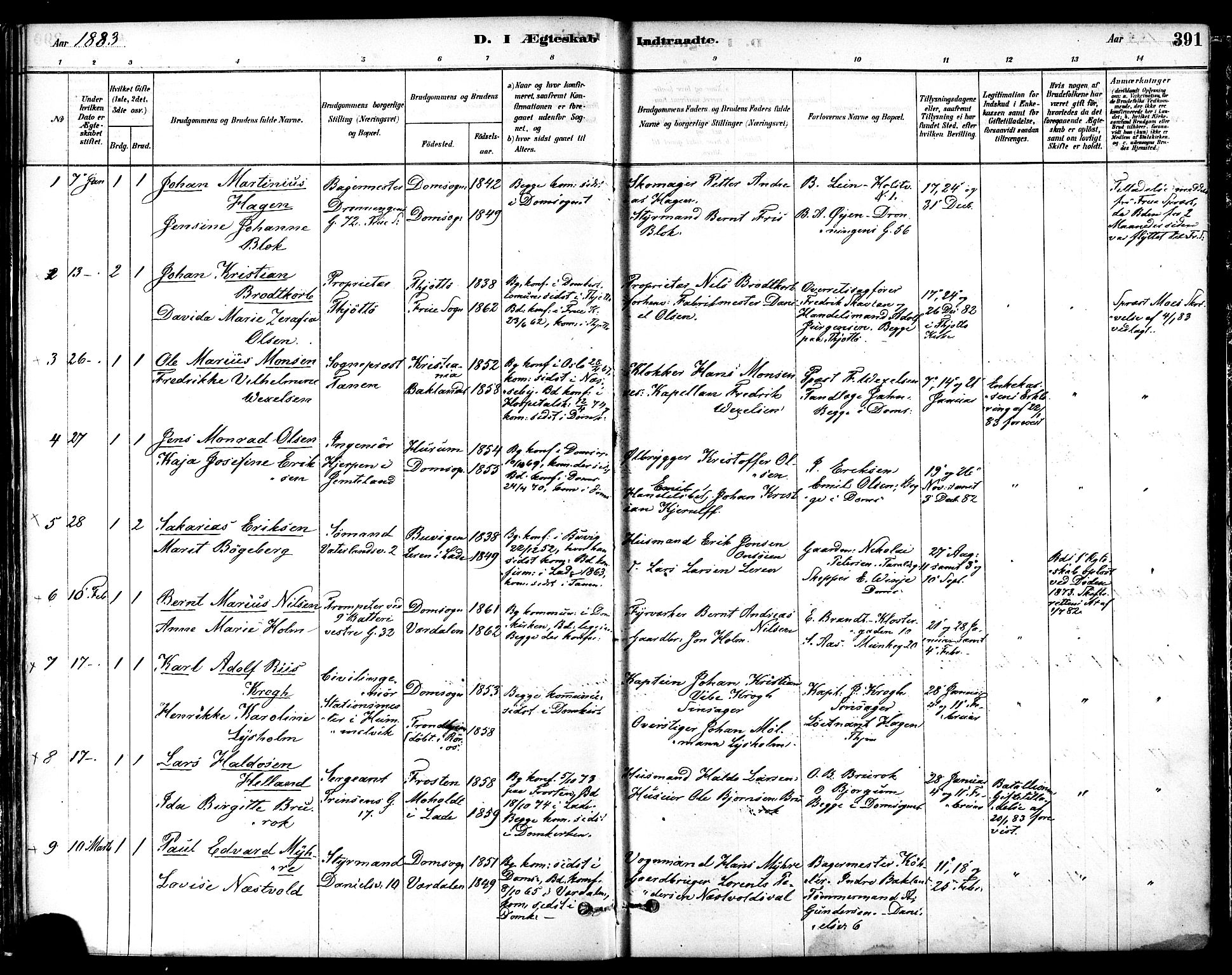 Ministerialprotokoller, klokkerbøker og fødselsregistre - Sør-Trøndelag, SAT/A-1456/601/L0058: Parish register (official) no. 601A26, 1877-1891, p. 391