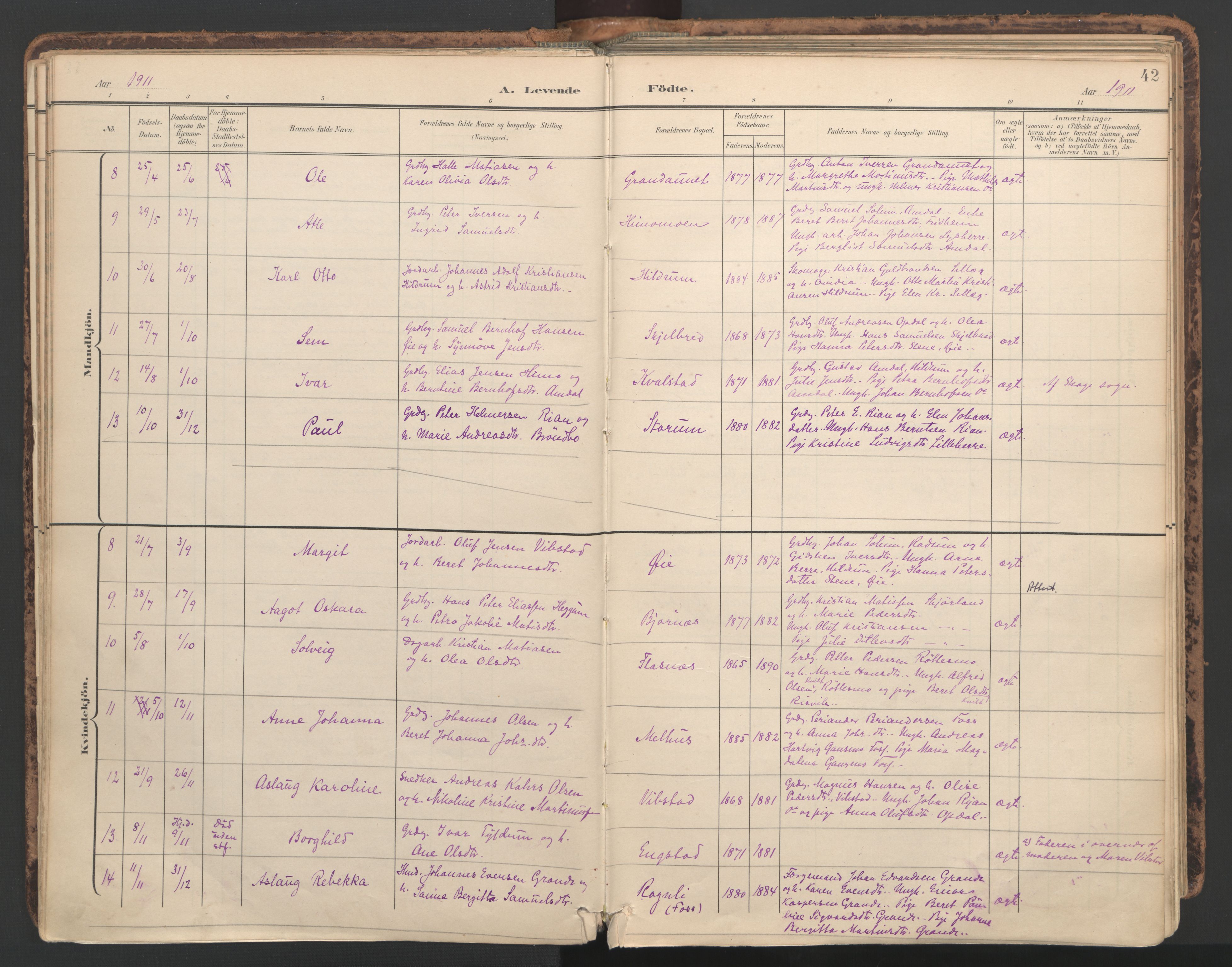 Ministerialprotokoller, klokkerbøker og fødselsregistre - Nord-Trøndelag, AV/SAT-A-1458/764/L0556: Parish register (official) no. 764A11, 1897-1924, p. 42