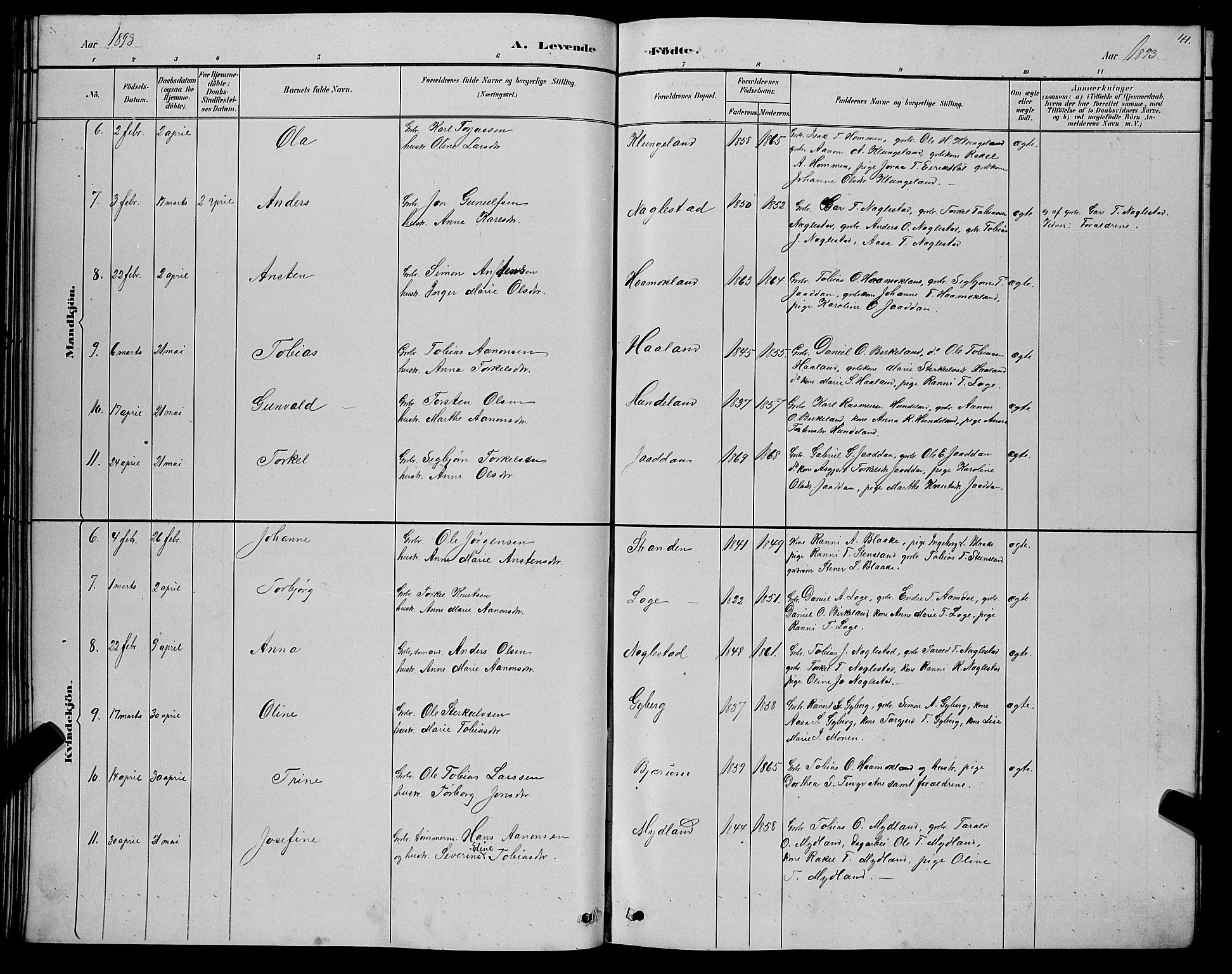Hægebostad sokneprestkontor, SAK/1111-0024/F/Fb/Fba/L0003: Parish register (copy) no. B 3, 1883-1896, p. 41