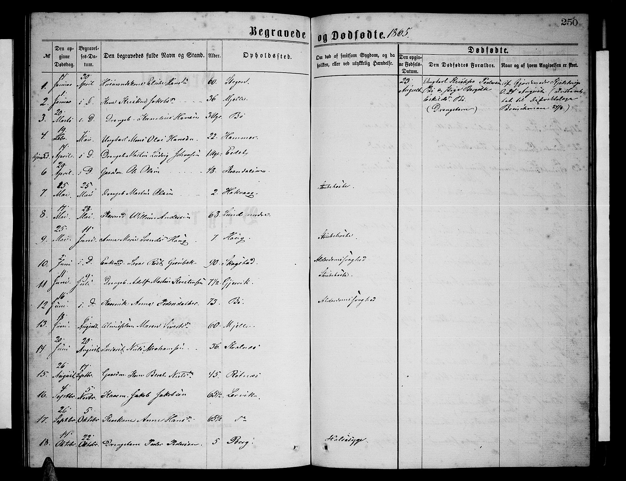 Ministerialprotokoller, klokkerbøker og fødselsregistre - Nordland, AV/SAT-A-1459/855/L0815: Parish register (copy) no. 855C04, 1865-1878, p. 250