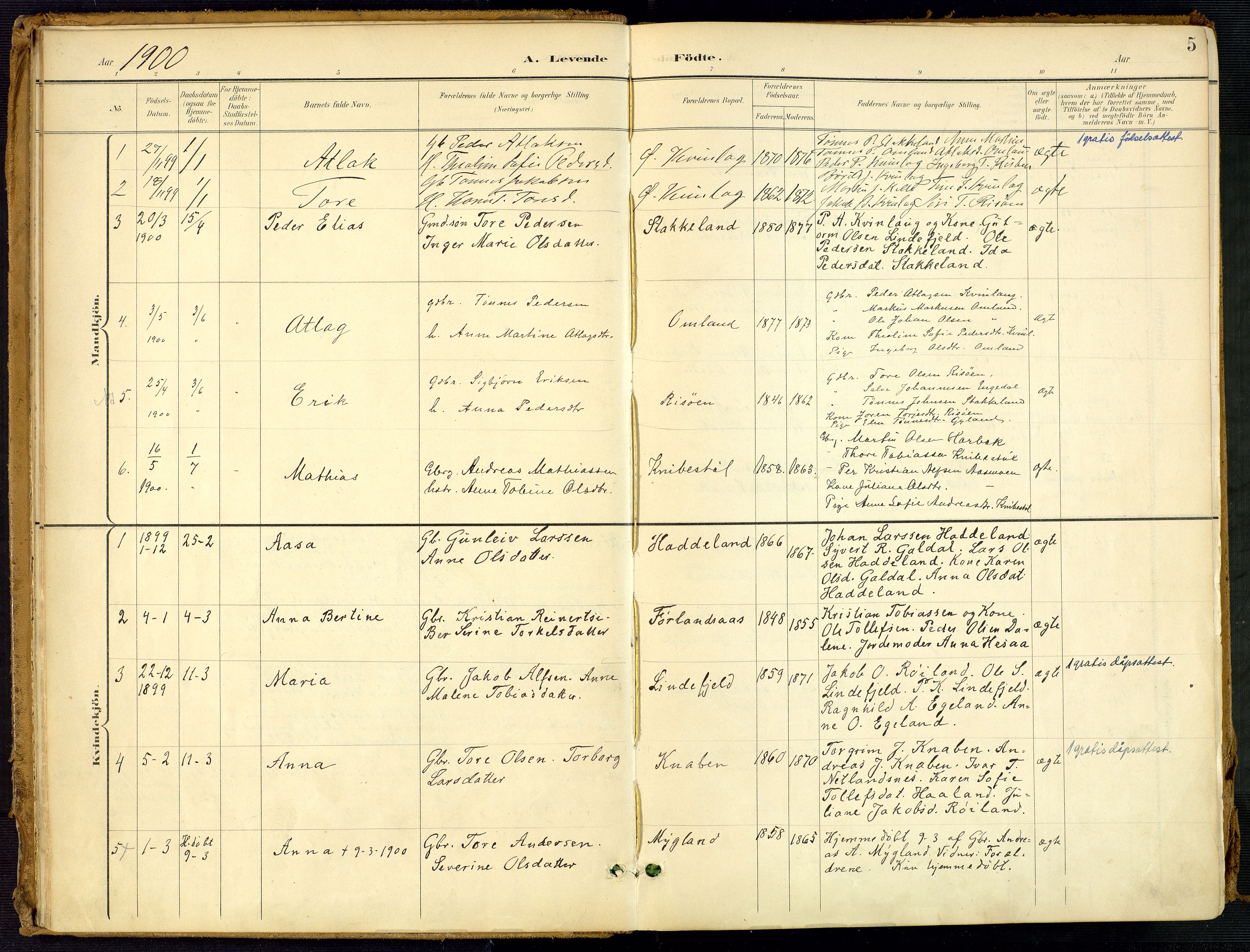 Fjotland sokneprestkontor, SAK/1111-0010/F/Fa/L0003: Parish register (official) no. A 3, 1899-1917, p. 5