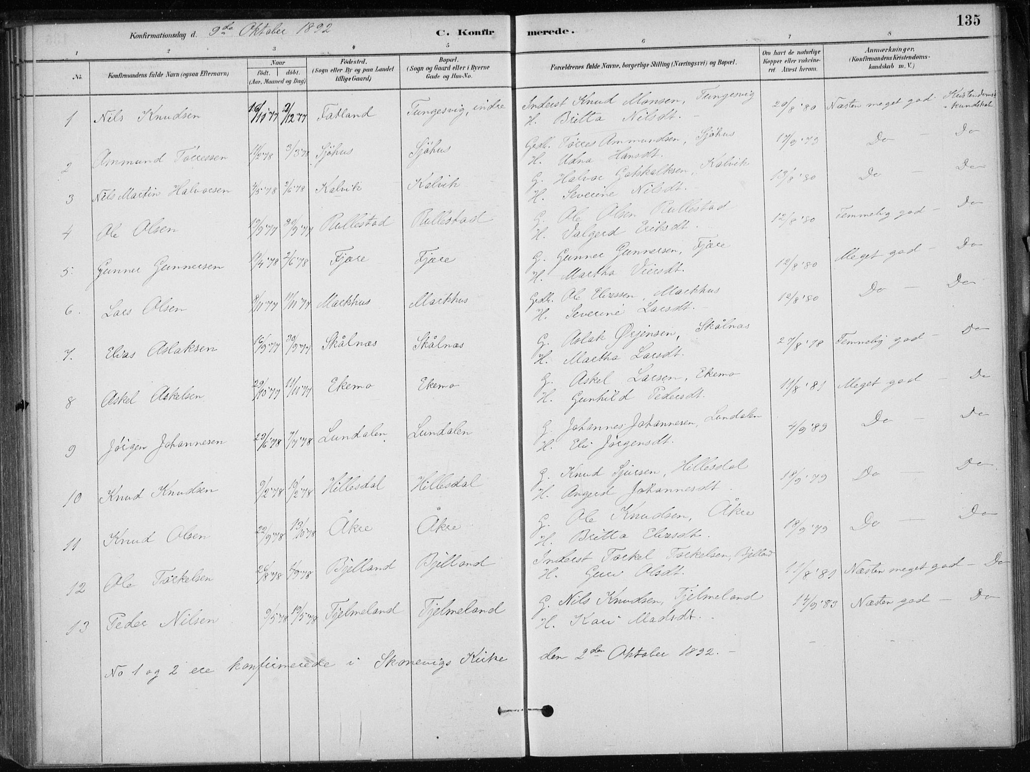 Skånevik sokneprestembete, SAB/A-77801/H/Haa: Parish register (official) no. E  1, 1879-1901, p. 135