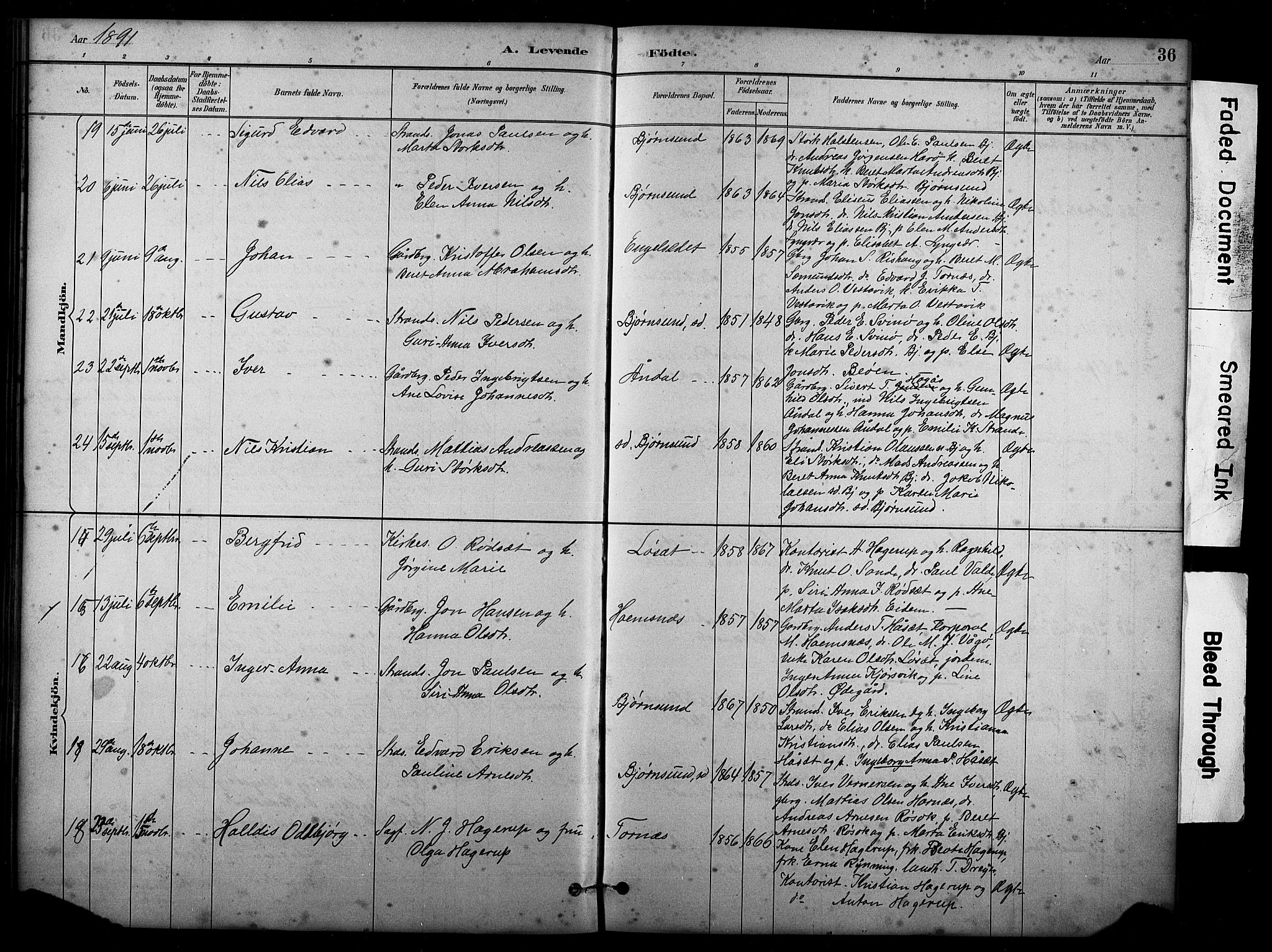 Ministerialprotokoller, klokkerbøker og fødselsregistre - Møre og Romsdal, AV/SAT-A-1454/565/L0755: Parish register (copy) no. 565C04, 1883-1903, p. 36