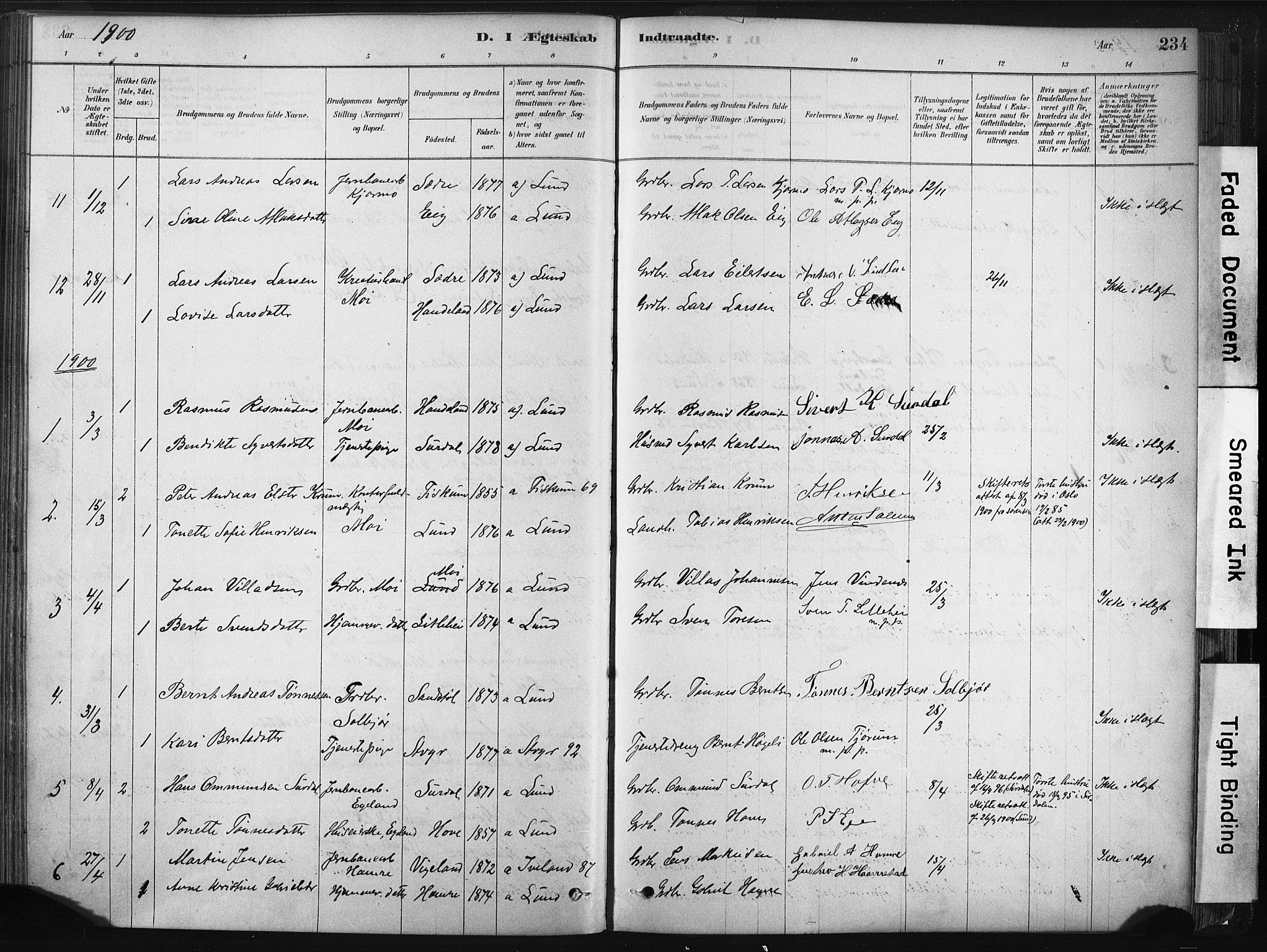 Lund sokneprestkontor, AV/SAST-A-101809/S06/L0011: Parish register (official) no. A 10, 1877-1904, p. 234