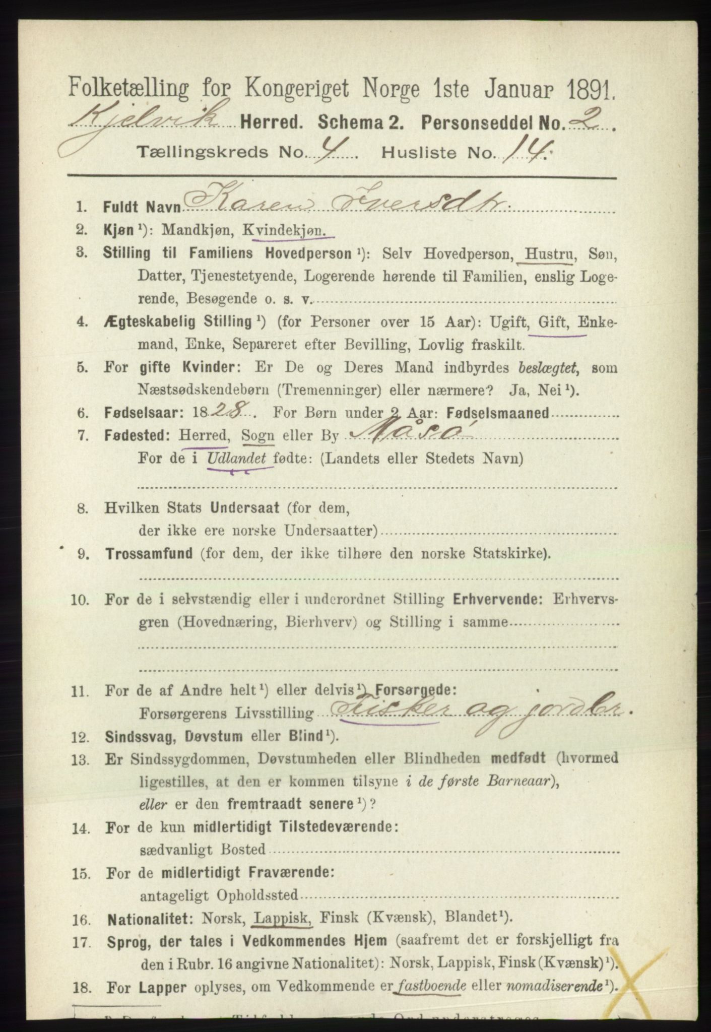 RA, 1891 census for 2019 Kjelvik, 1891, p. 511