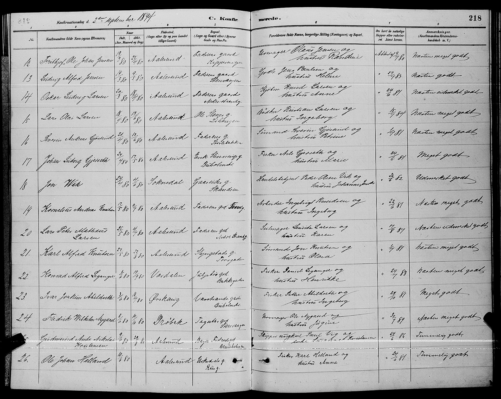 Ministerialprotokoller, klokkerbøker og fødselsregistre - Møre og Romsdal, AV/SAT-A-1454/529/L0467: Parish register (copy) no. 529C04, 1889-1897, p. 218