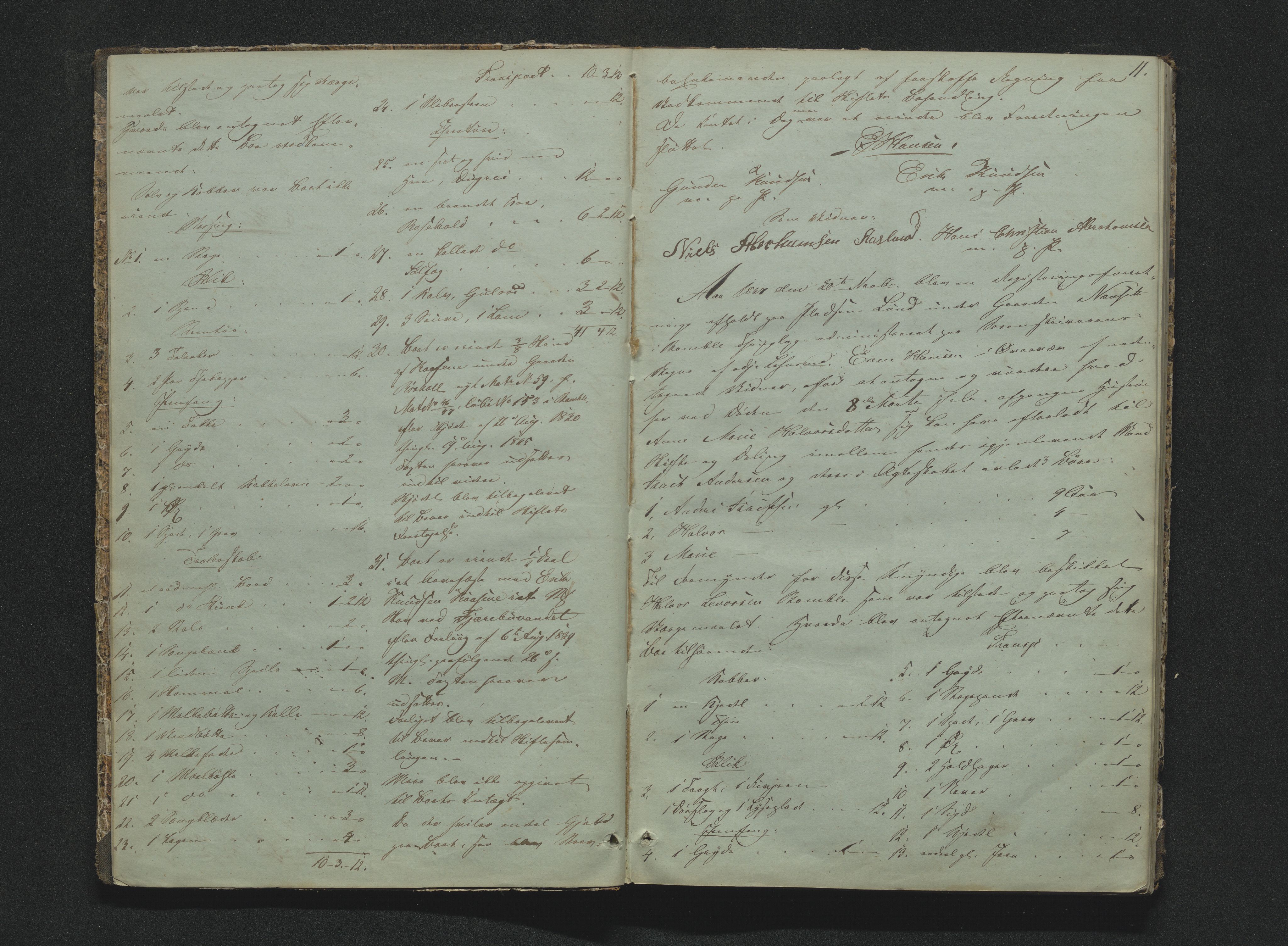 Bamble sorenskriveri, AV/SAKO-A-214/H/Hb/Hbb/Hbbb/L0001/0002: Skifteregisteringsprotokoll  / Skifteregisteringsprotokoll 2, 1847-1868, p. 10-11