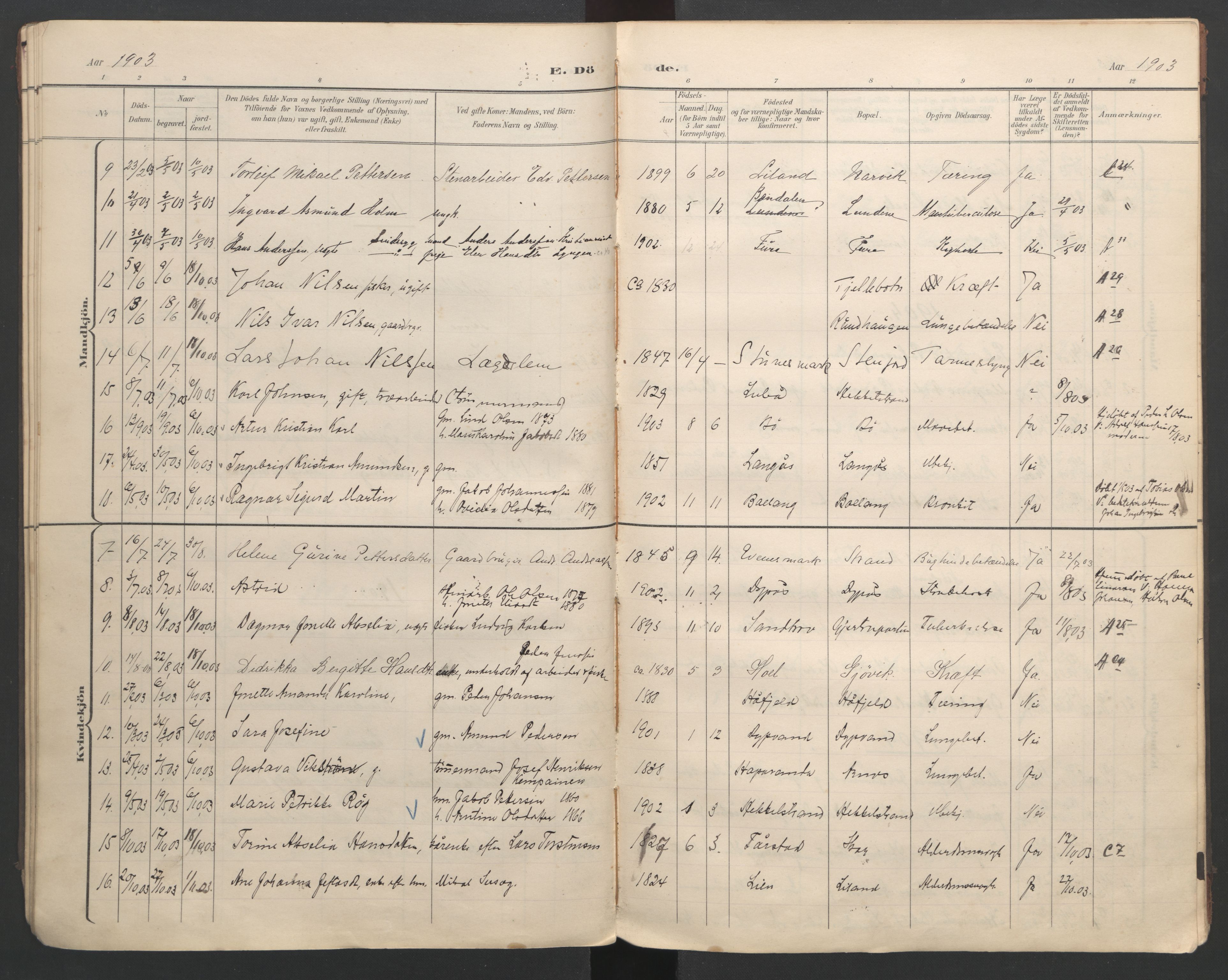 Ministerialprotokoller, klokkerbøker og fødselsregistre - Nordland, AV/SAT-A-1459/863/L0917: Parish register (copy) no. 863C07, 1898-1907