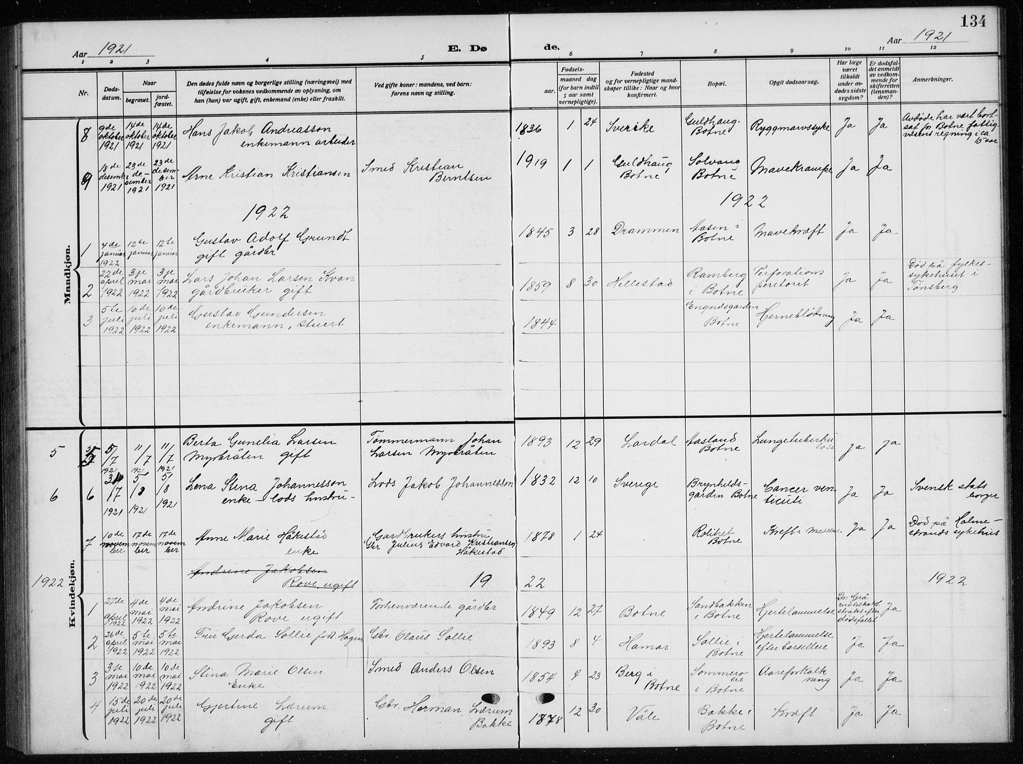 Botne kirkebøker, AV/SAKO-A-340/G/Ga/L0005: Parish register (copy) no. I 5, 1916-1934, p. 134