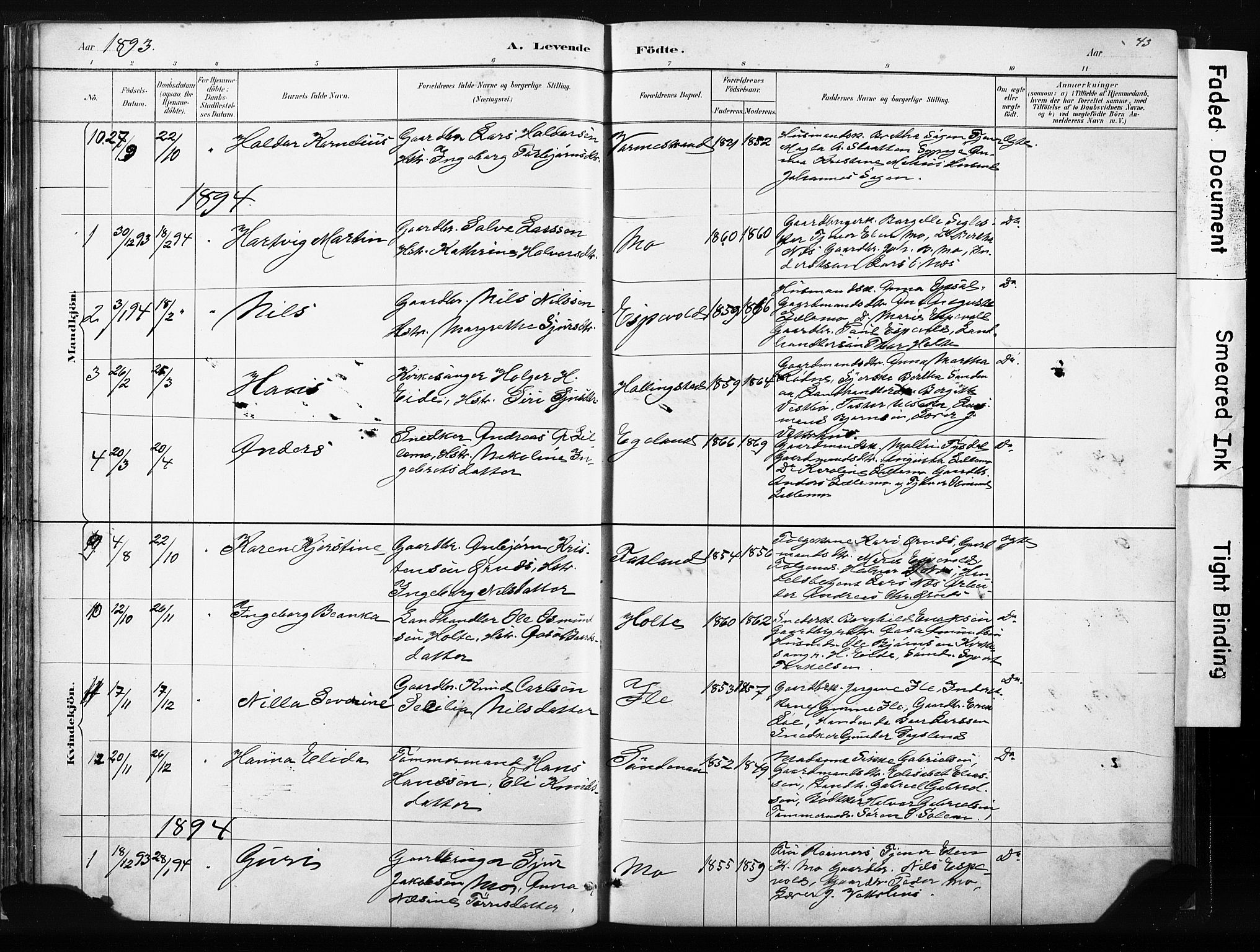 Vikedal sokneprestkontor, AV/SAST-A-101840/01/IV: Parish register (official) no. A 10, 1884-1907, p. 43