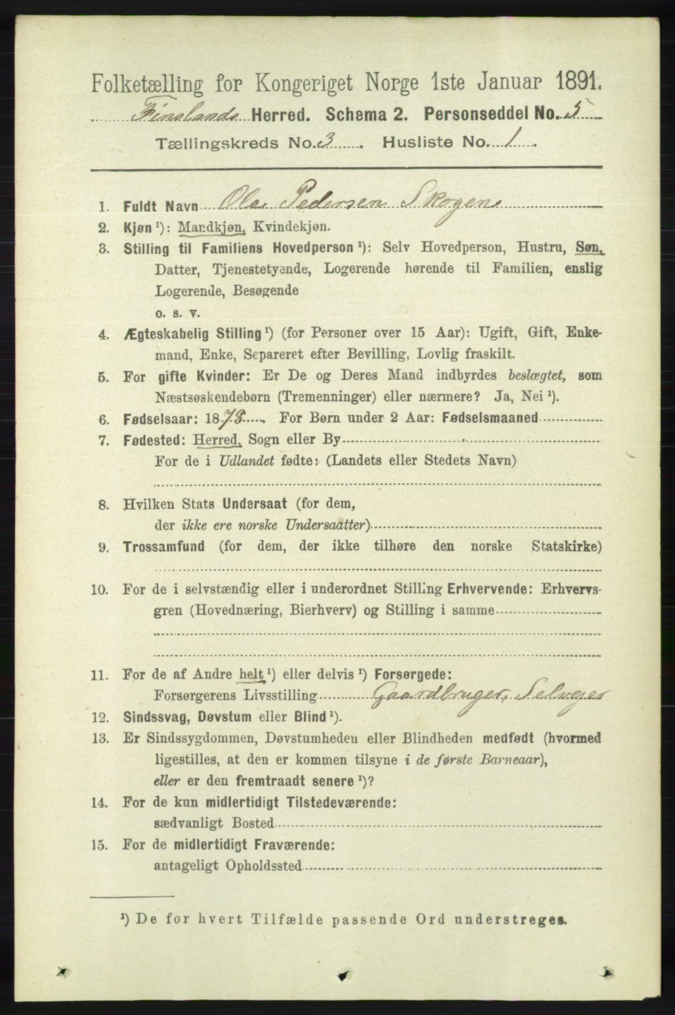 RA, 1891 census for 1023 Finsland, 1891, p. 776