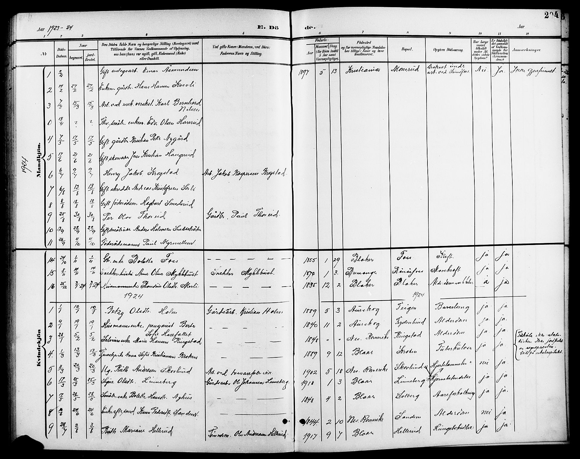 Aurskog prestekontor Kirkebøker, SAO/A-10304a/G/Gb/L0002: Parish register (copy) no. II 2, 1901-1926, p. 204