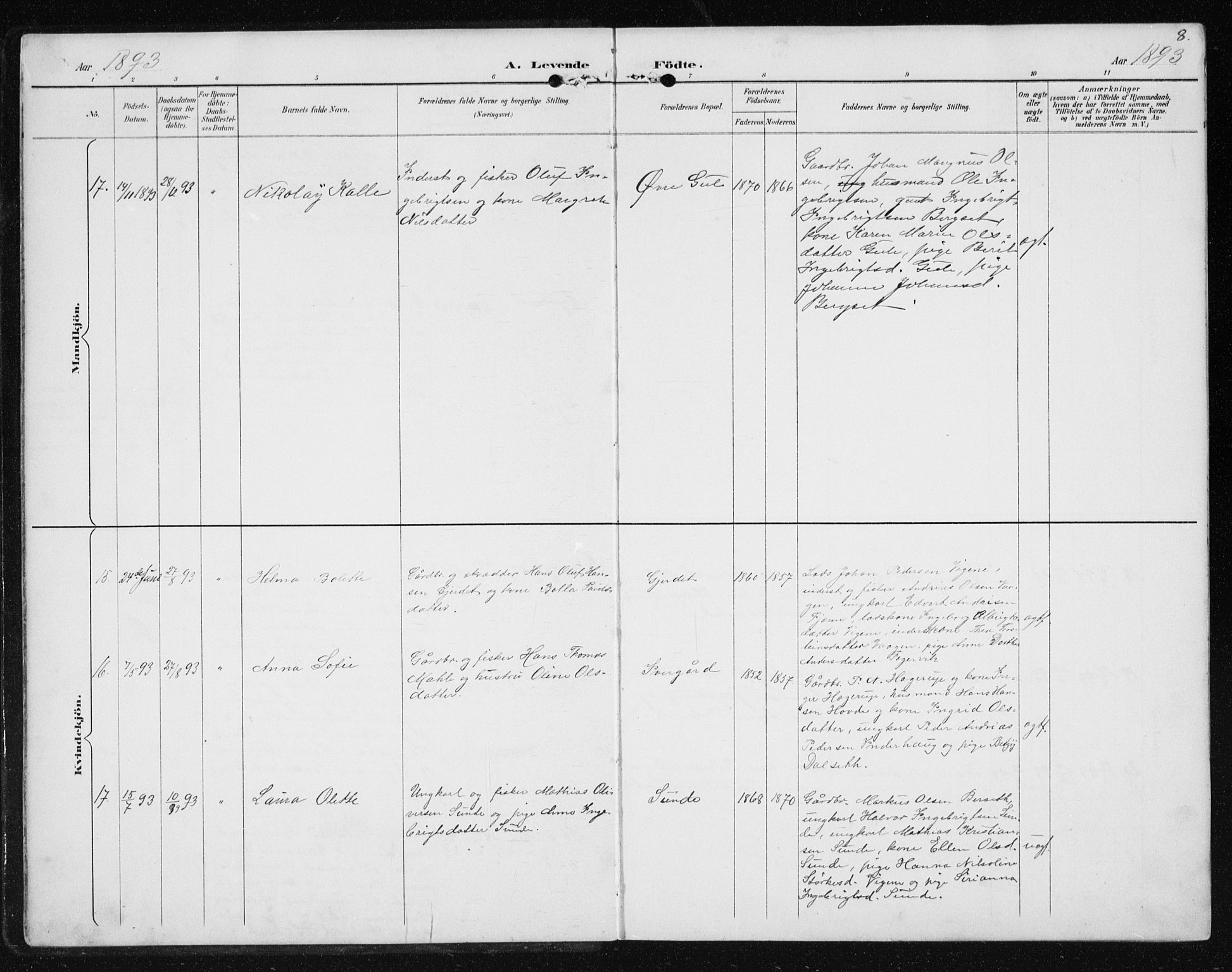 Ministerialprotokoller, klokkerbøker og fødselsregistre - Møre og Romsdal, AV/SAT-A-1454/566/L0773: Parish register (copy) no. 566C02, 1892-1909, p. 8