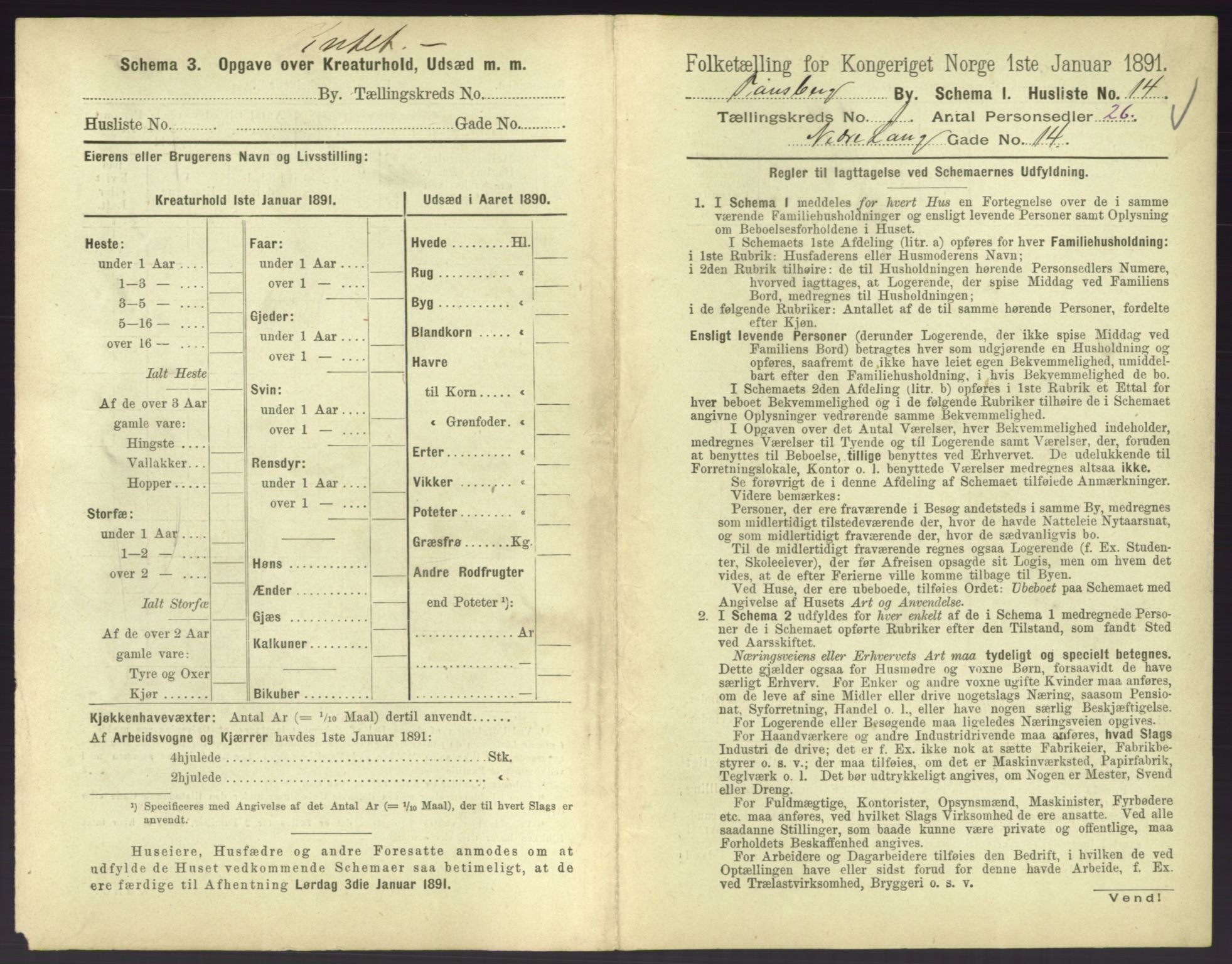 RA, 1891 census for 0705 Tønsberg, 1891, p. 116