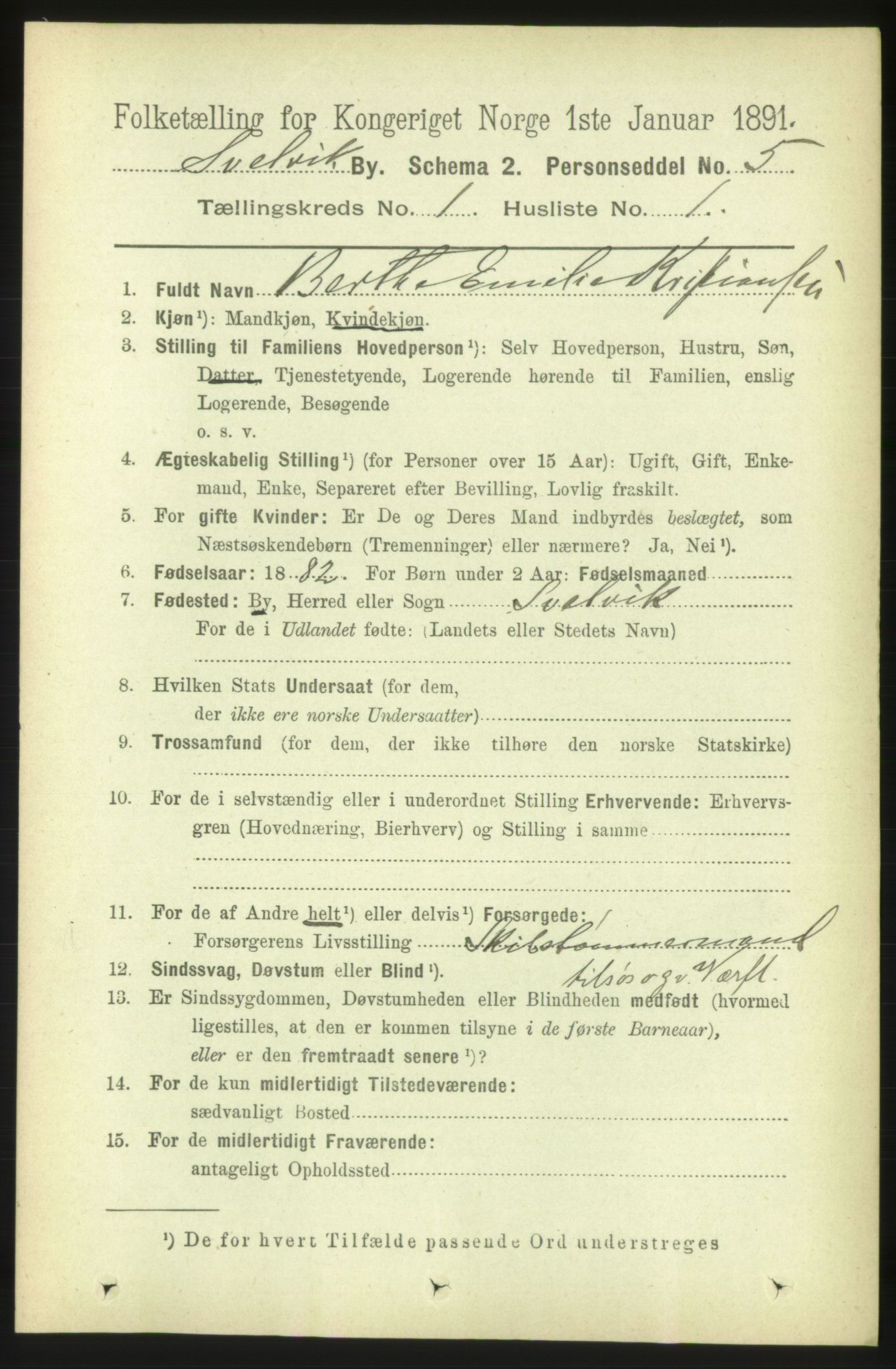 RA, 1891 census for 0701 Svelvik, 1891, p. 555