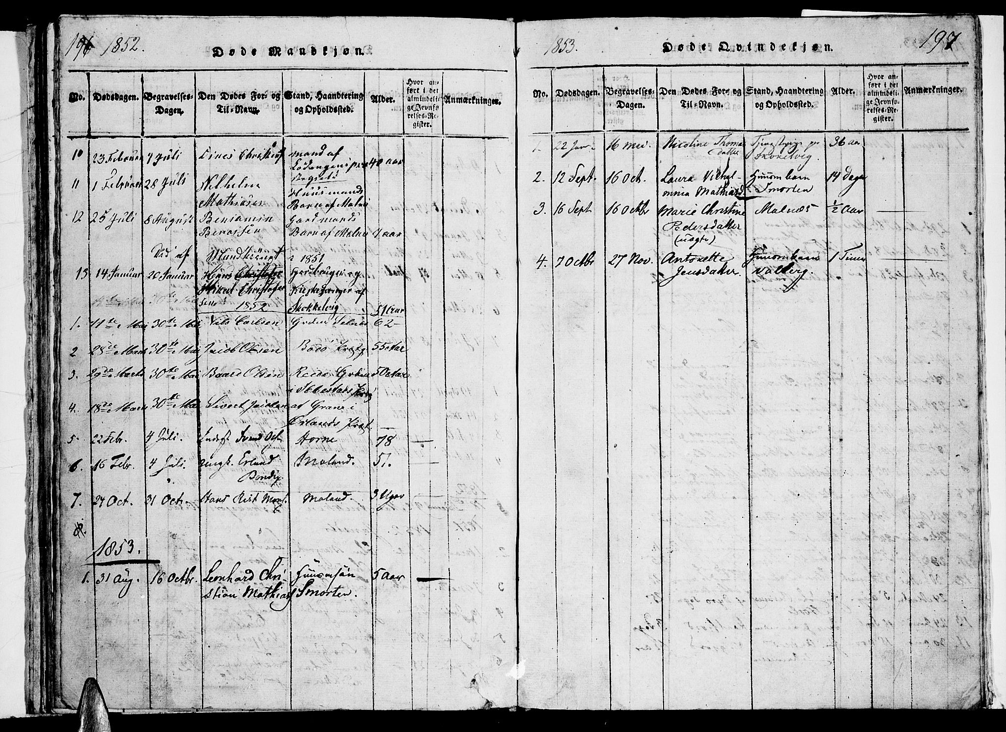 Ministerialprotokoller, klokkerbøker og fødselsregistre - Nordland, AV/SAT-A-1459/884/L1195: Parish register (copy) no. 884C01, 1837-1867, p. 196-197