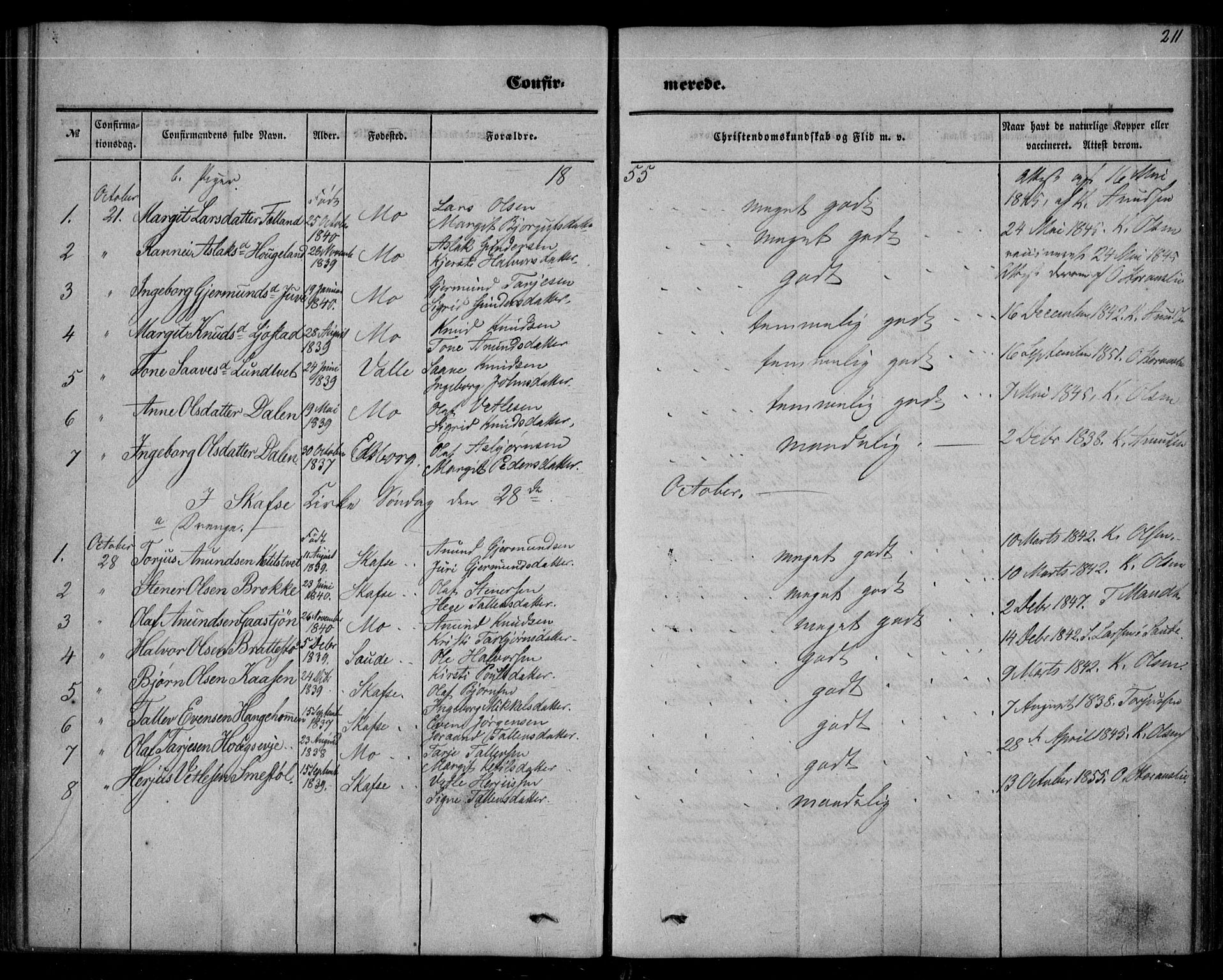 Mo kirkebøker, AV/SAKO-A-286/F/Fa/L0005: Parish register (official) no. I 5, 1844-1864, p. 211