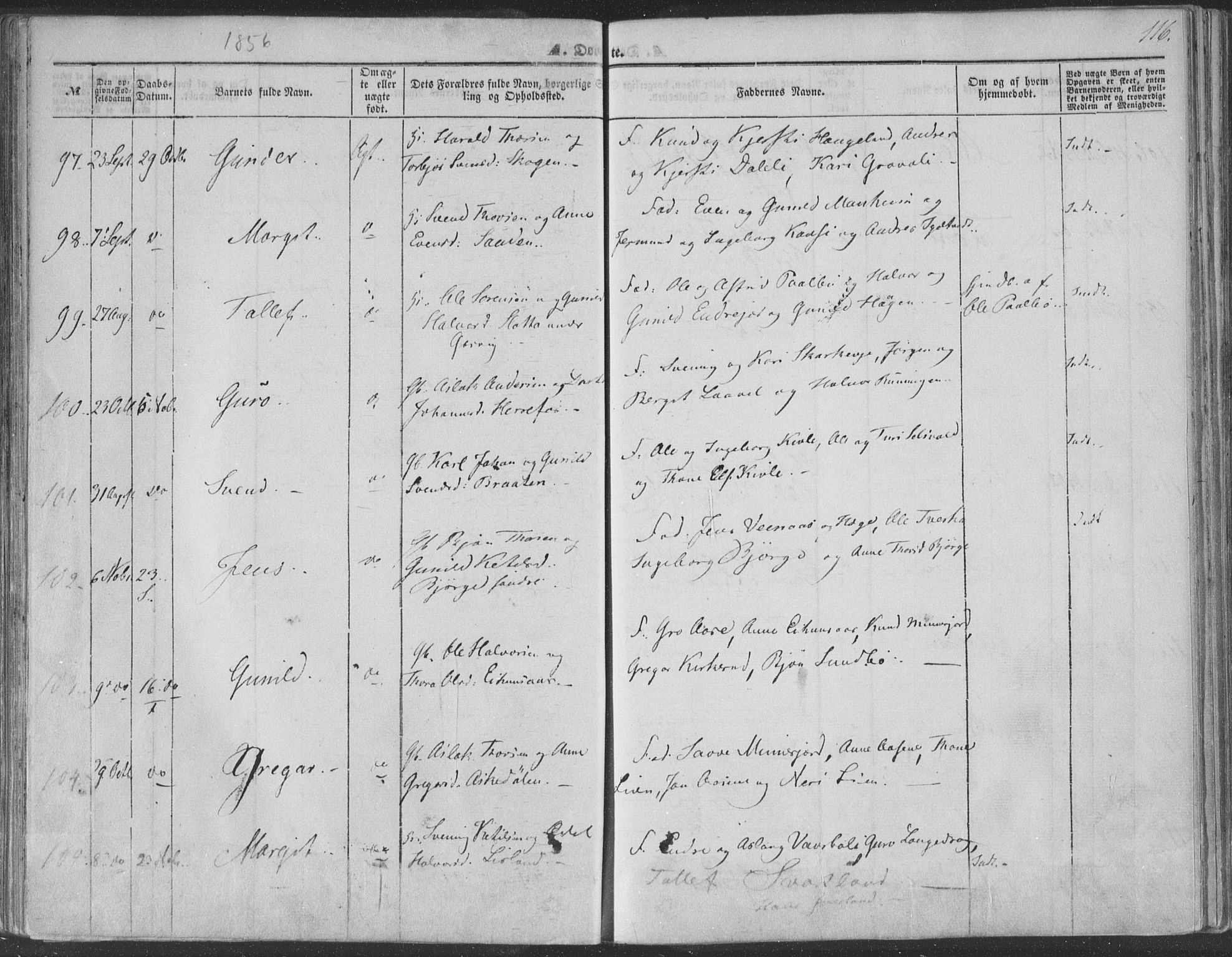 Seljord kirkebøker, SAKO/A-20/F/Fa/L012a: Parish register (official) no. I 12A, 1850-1865, p. 116
