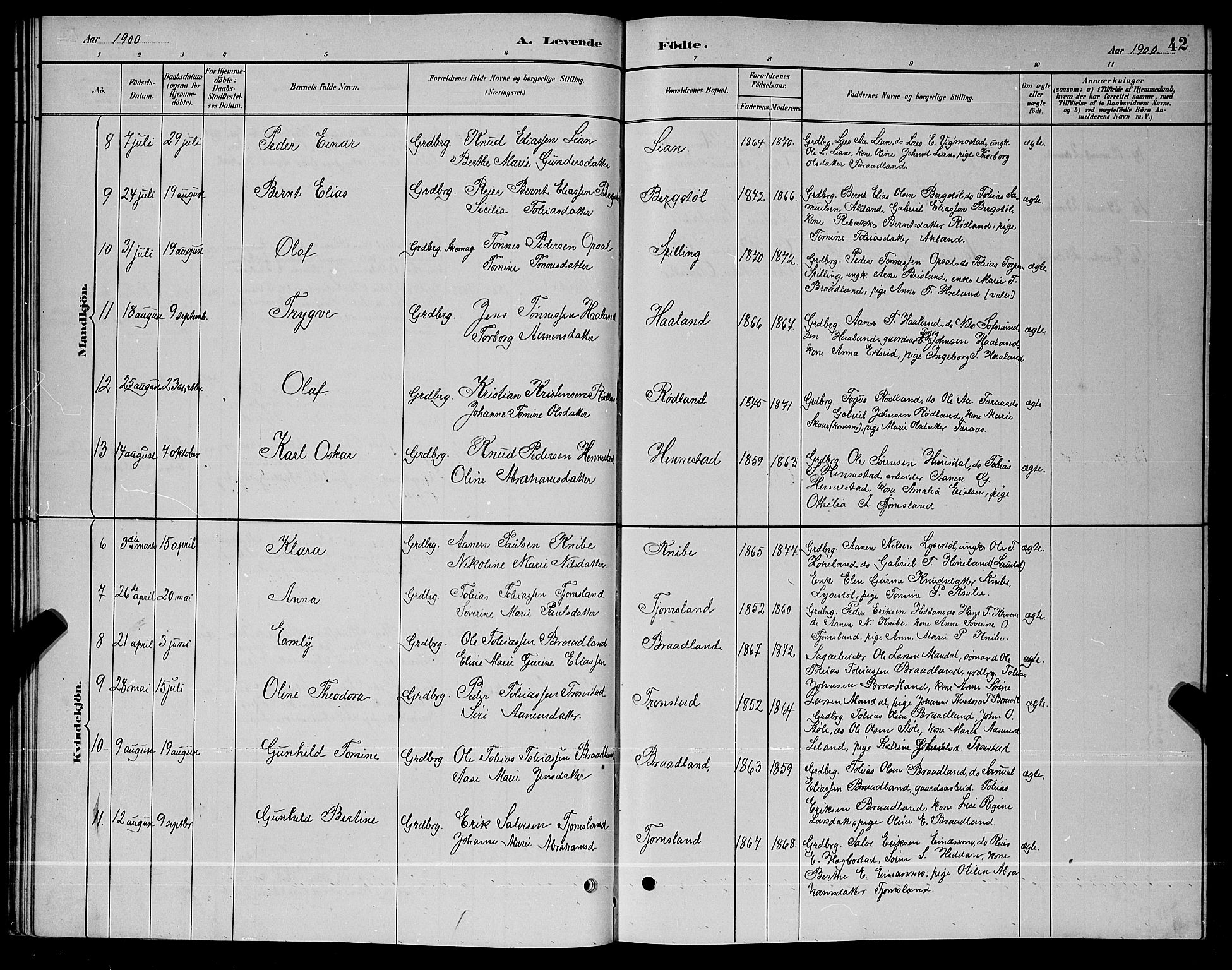 Nord-Audnedal sokneprestkontor, SAK/1111-0032/F/Fb/Fbb/L0003: Parish register (copy) no. B 3, 1882-1900, p. 42