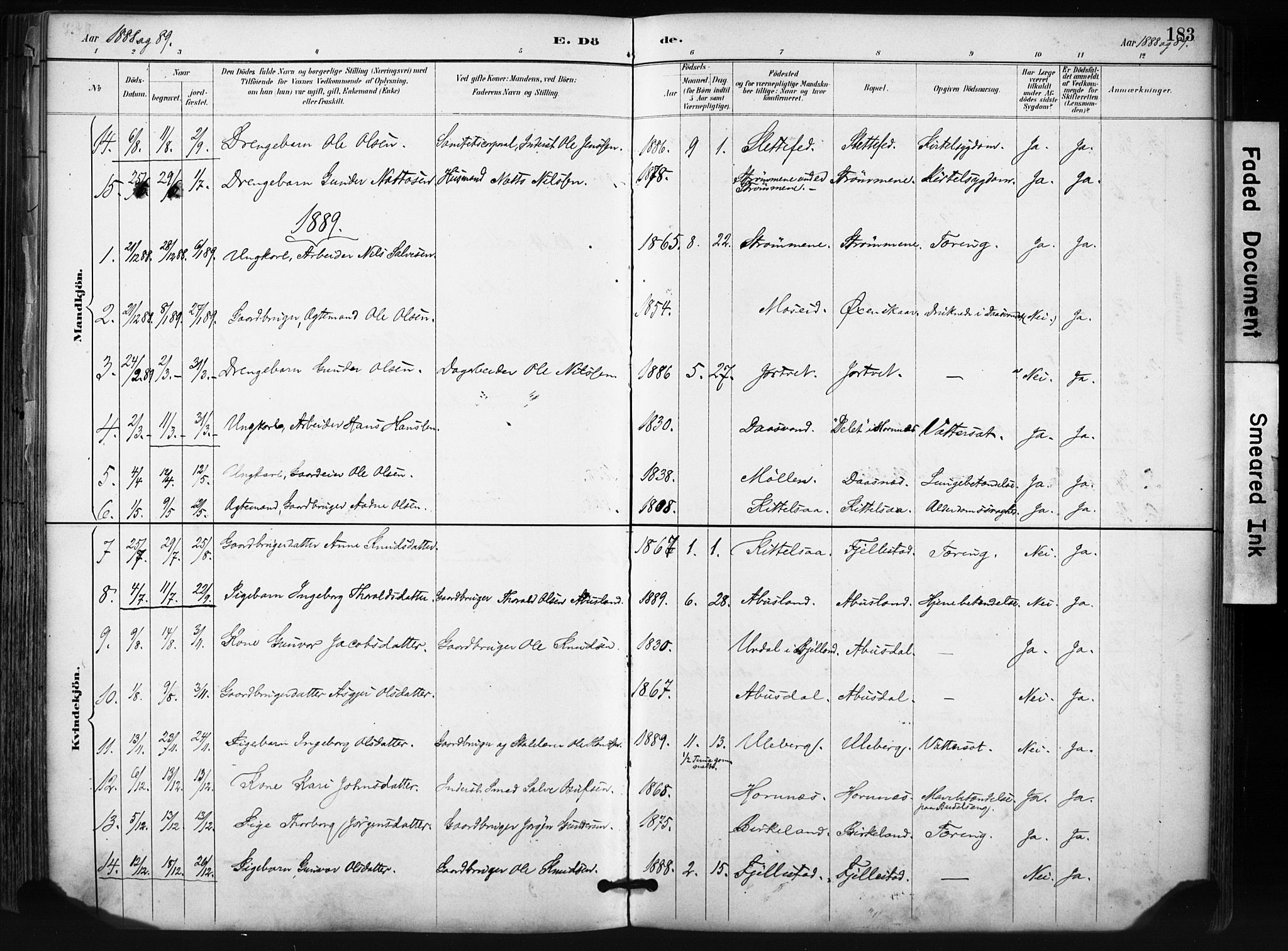 Evje sokneprestkontor, SAK/1111-0008/F/Fa/Fab/L0003: Parish register (official) no. A 3, 1884-1909, p. 183