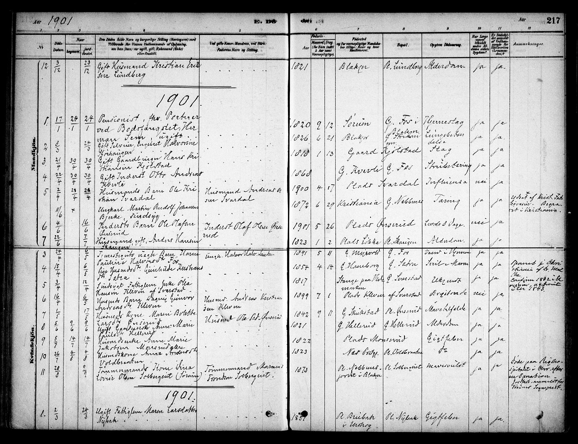 Aurskog prestekontor Kirkebøker, SAO/A-10304a/F/Fb/L0001: Parish register (official) no. II 1, 1878-1909, p. 217