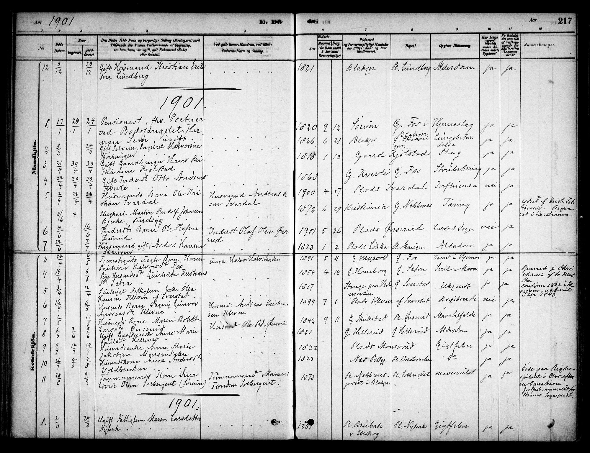 Aurskog prestekontor Kirkebøker, AV/SAO-A-10304a/F/Fb/L0001: Parish register (official) no. II 1, 1878-1909, p. 217