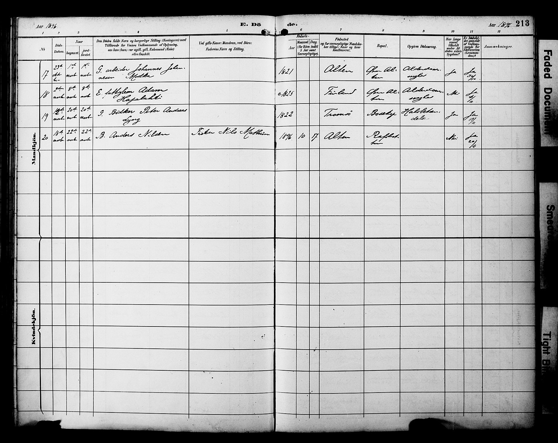 Alta sokneprestkontor, SATØ/S-1338/H/Ha/L0003.kirke: Parish register (official) no. 3, 1892-1904, p. 213