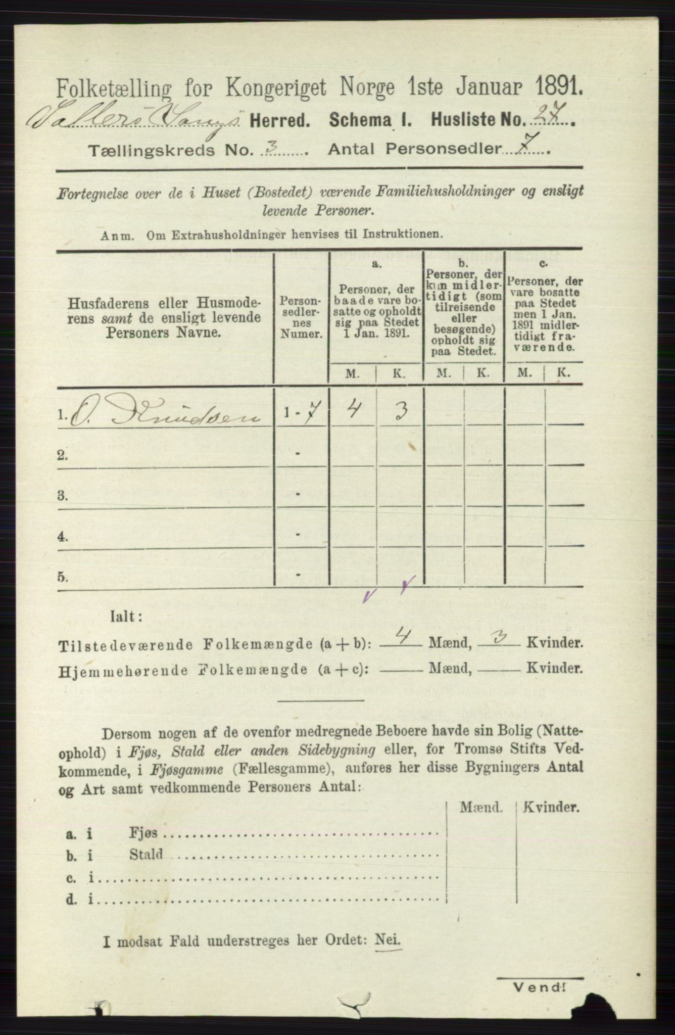 RA, 1891 census for 0545 Vang, 1891, p. 707