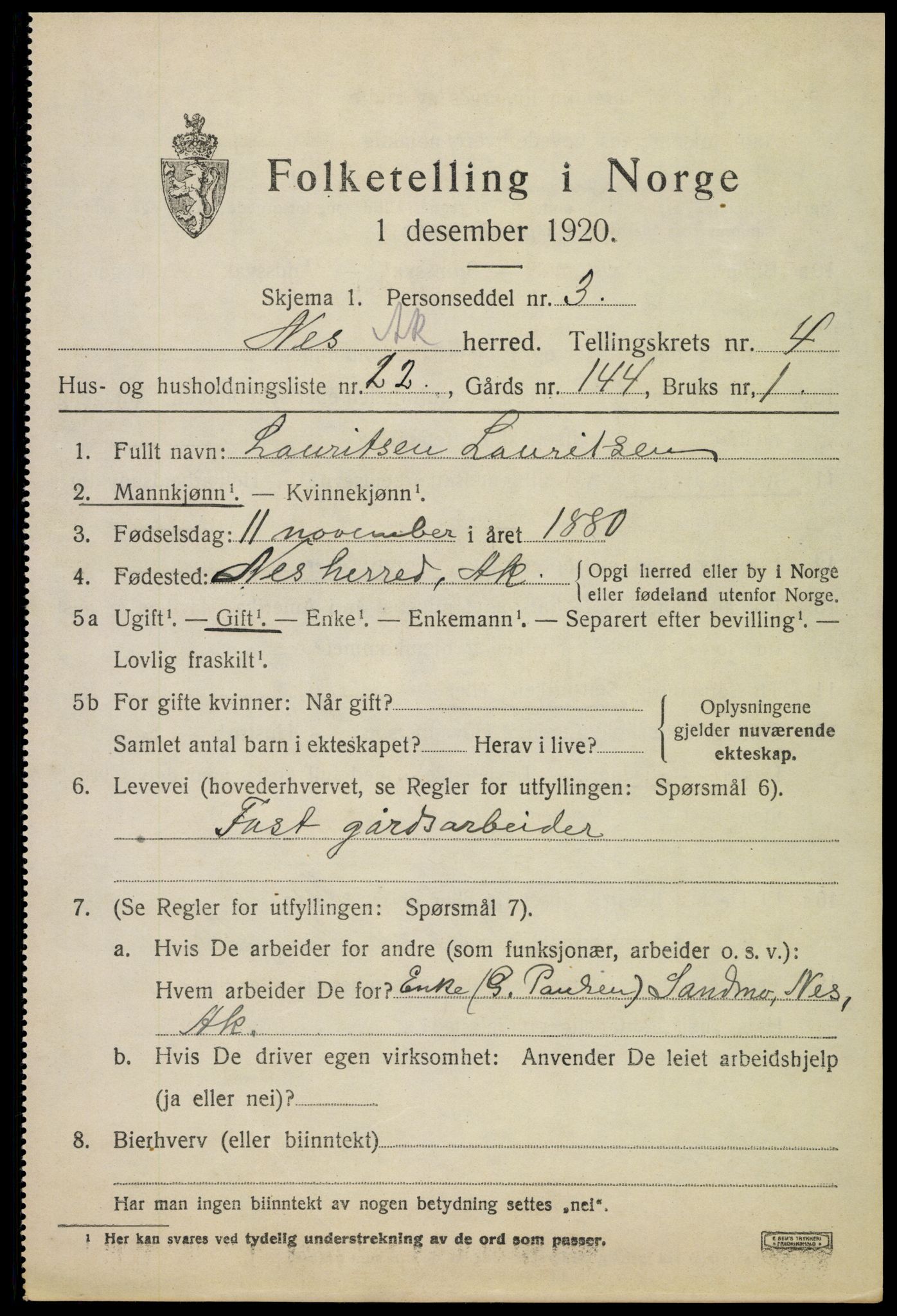 SAO, 1920 census for Nes, 1920, p. 6454