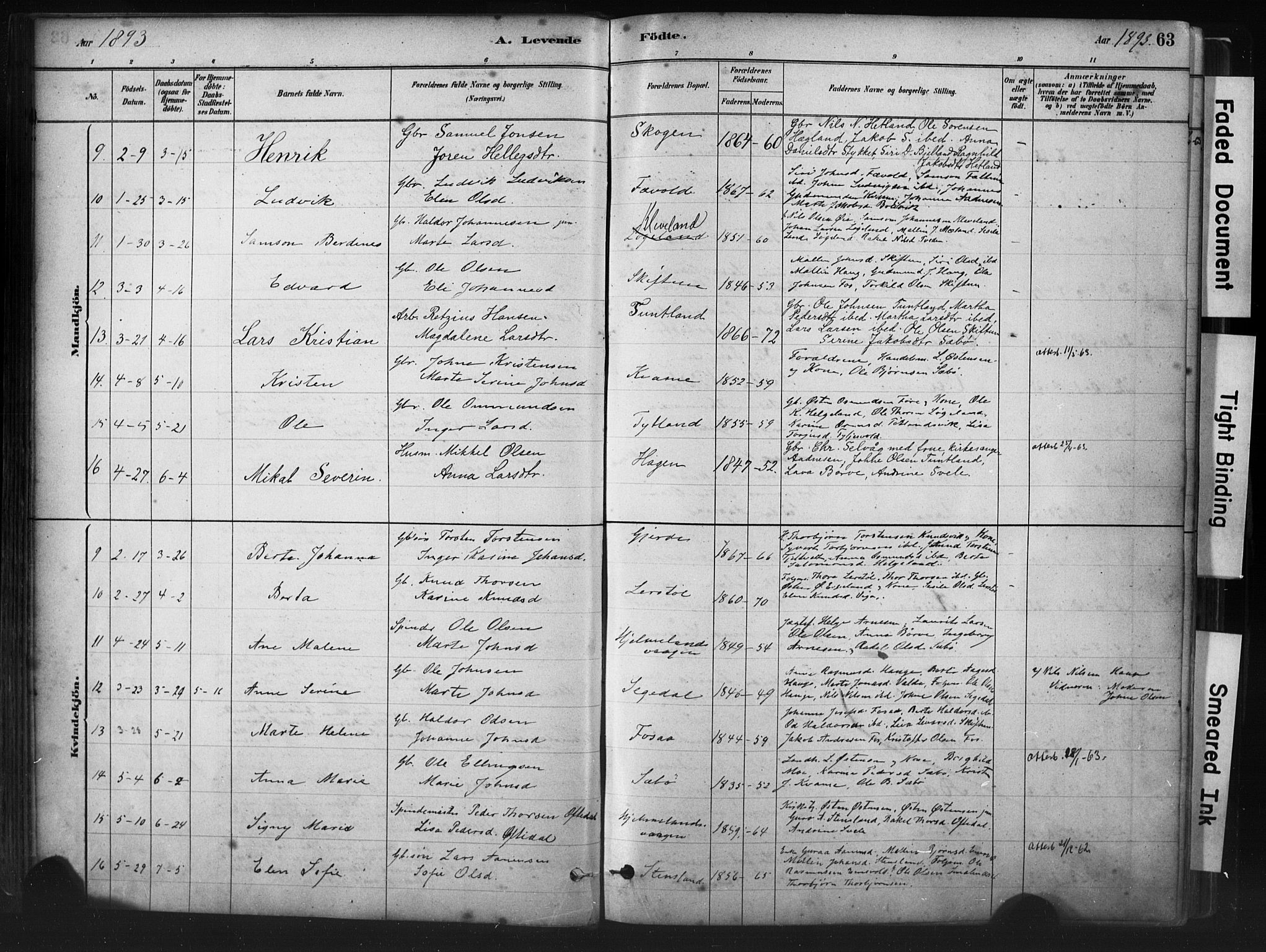 Hjelmeland sokneprestkontor, AV/SAST-A-101843/01/IV/L0014: Parish register (official) no. A 14, 1879-1900, p. 63