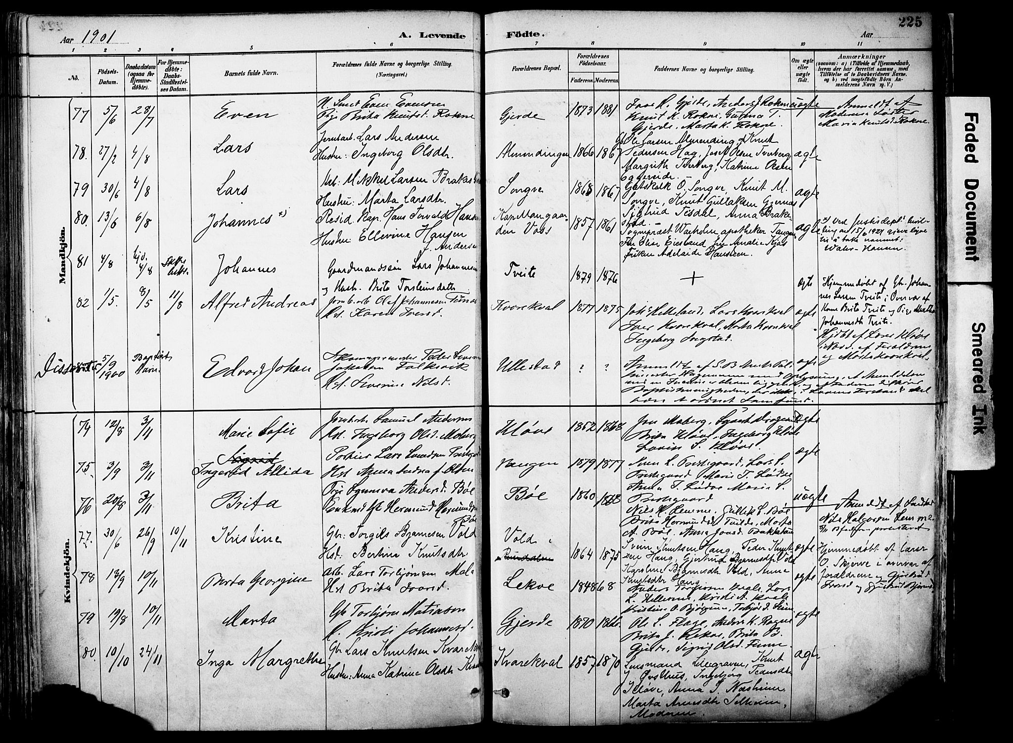 Voss sokneprestembete, AV/SAB-A-79001/H/Haa: Parish register (official) no. A 21, 1887-1903, p. 225