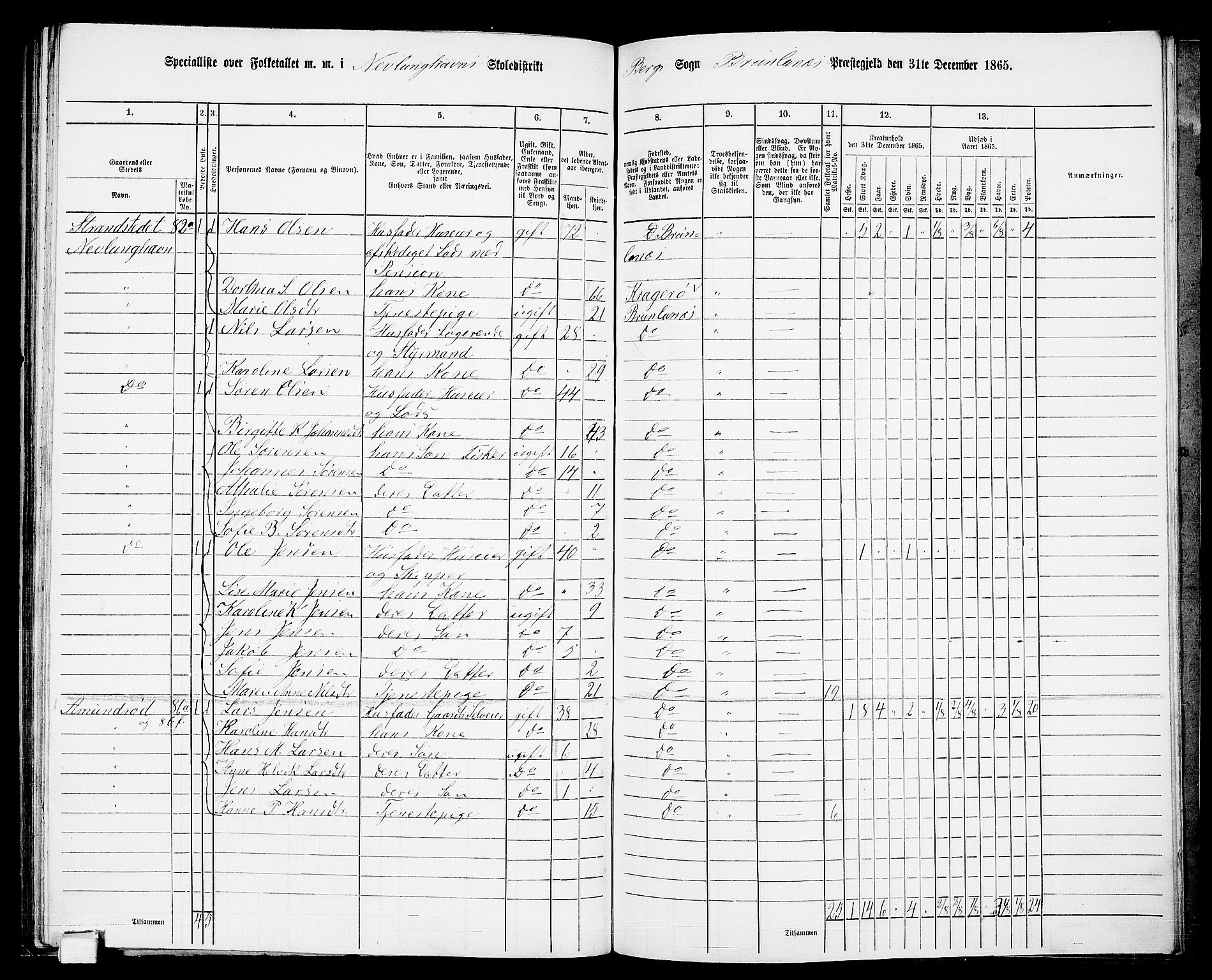 RA, 1865 census for Brunlanes, 1865, p. 154