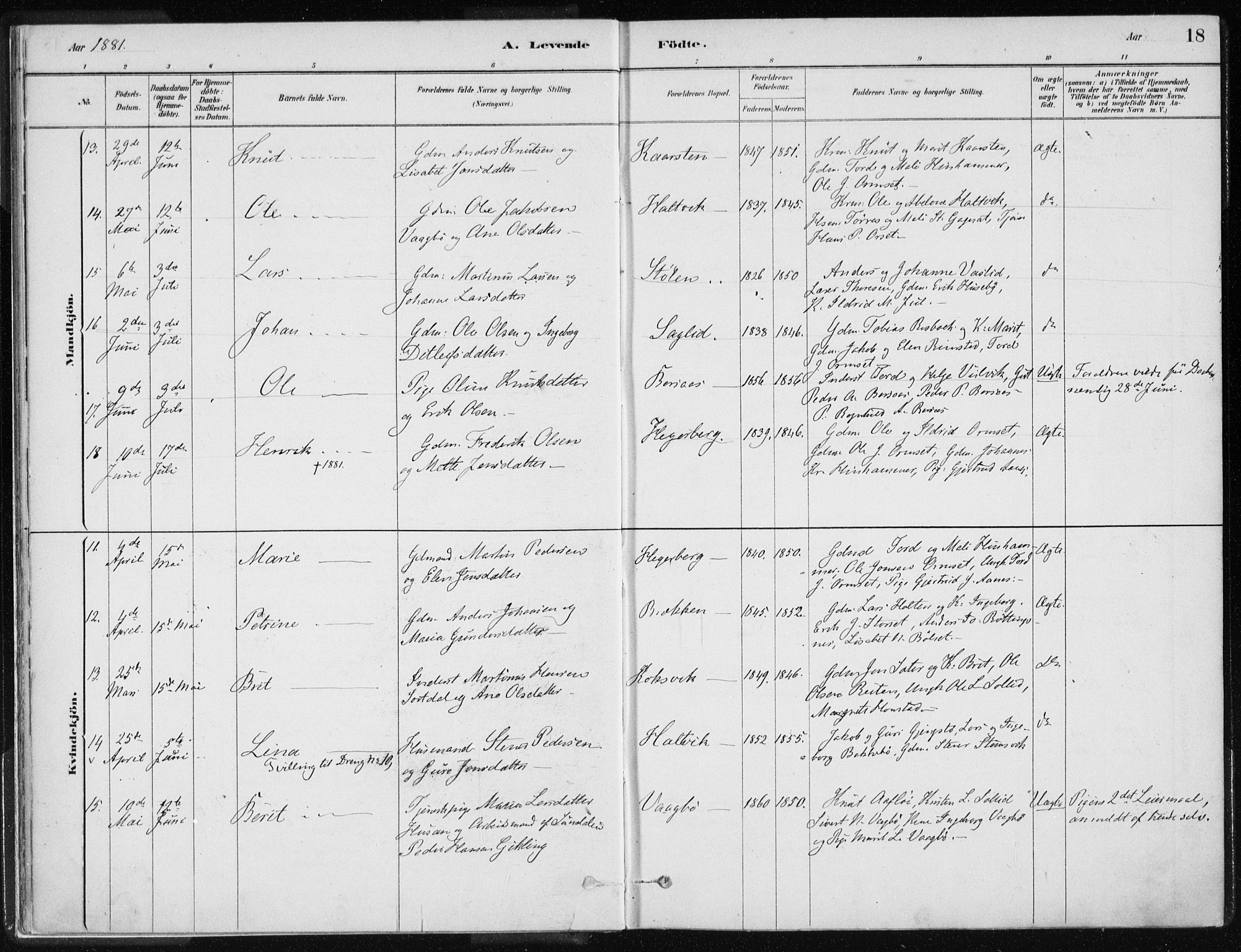 Ministerialprotokoller, klokkerbøker og fødselsregistre - Møre og Romsdal, AV/SAT-A-1454/586/L0987: Parish register (official) no. 586A13, 1879-1892, p. 18