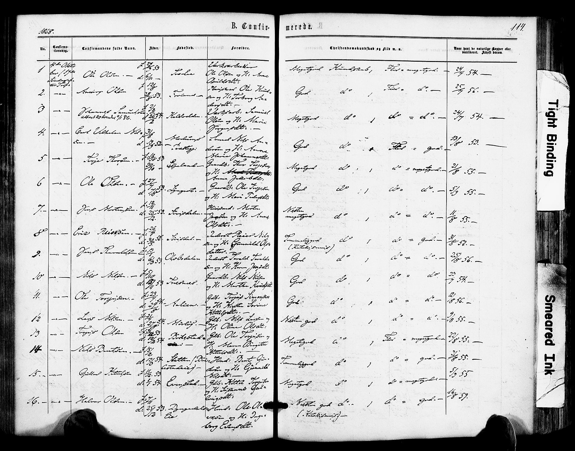 Froland sokneprestkontor, SAK/1111-0013/F/Fa/L0003: Parish register (official) no. A 3, 1864-1881, p. 114