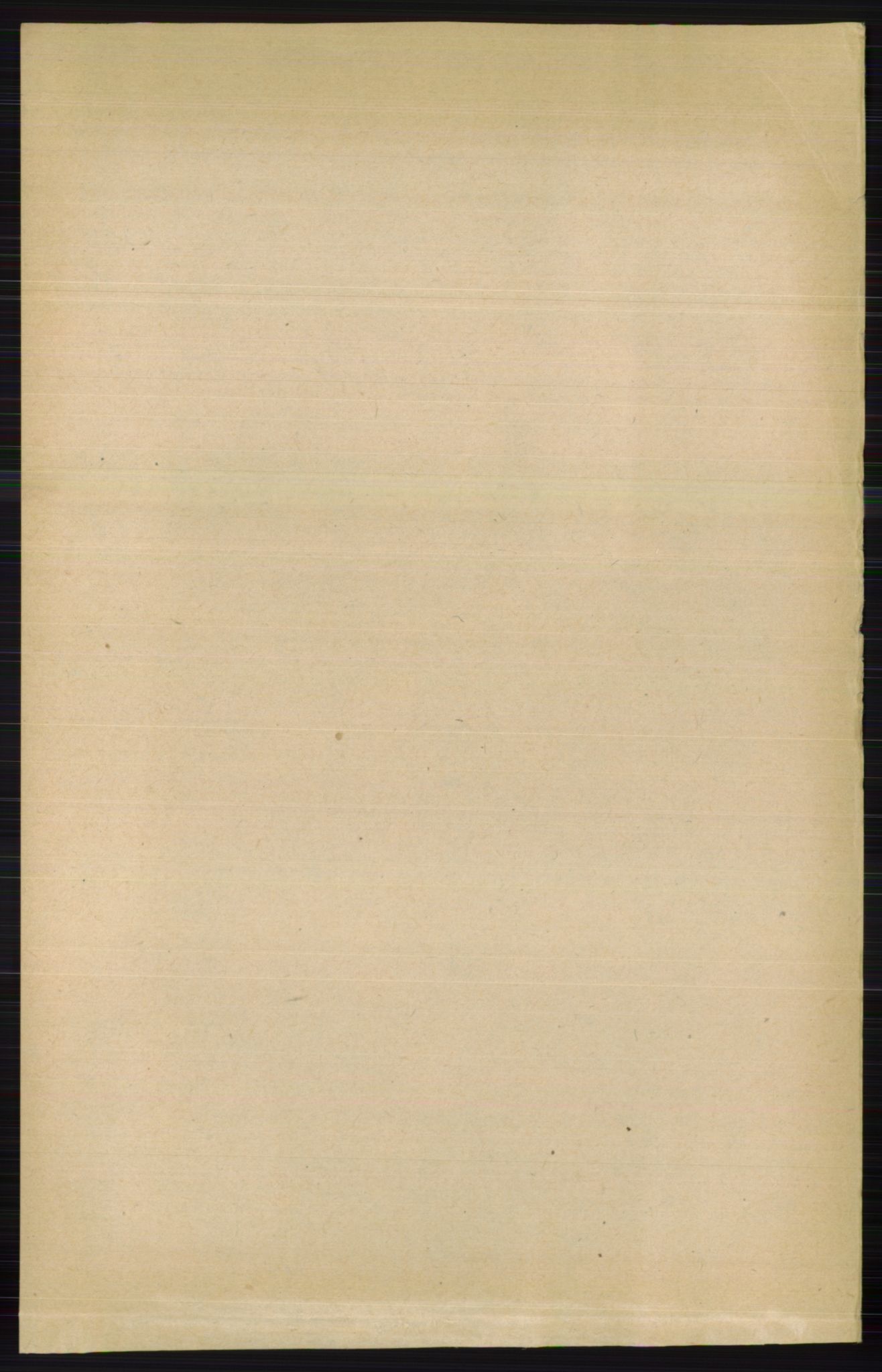 RA, 1891 census for 0540 Sør-Aurdal, 1891, p. 1454