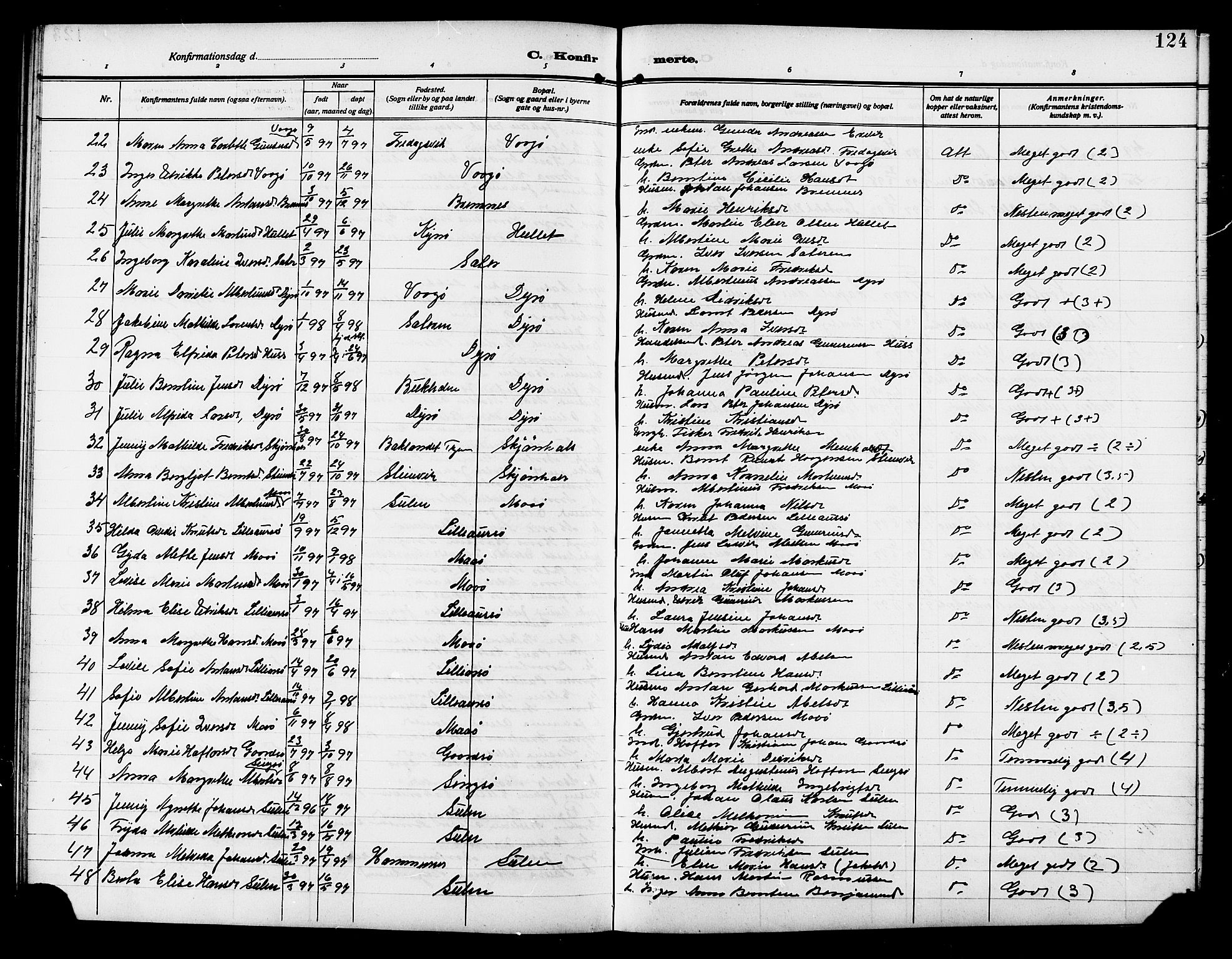 Ministerialprotokoller, klokkerbøker og fødselsregistre - Sør-Trøndelag, AV/SAT-A-1456/640/L0588: Parish register (copy) no. 640C05, 1909-1922, p. 124