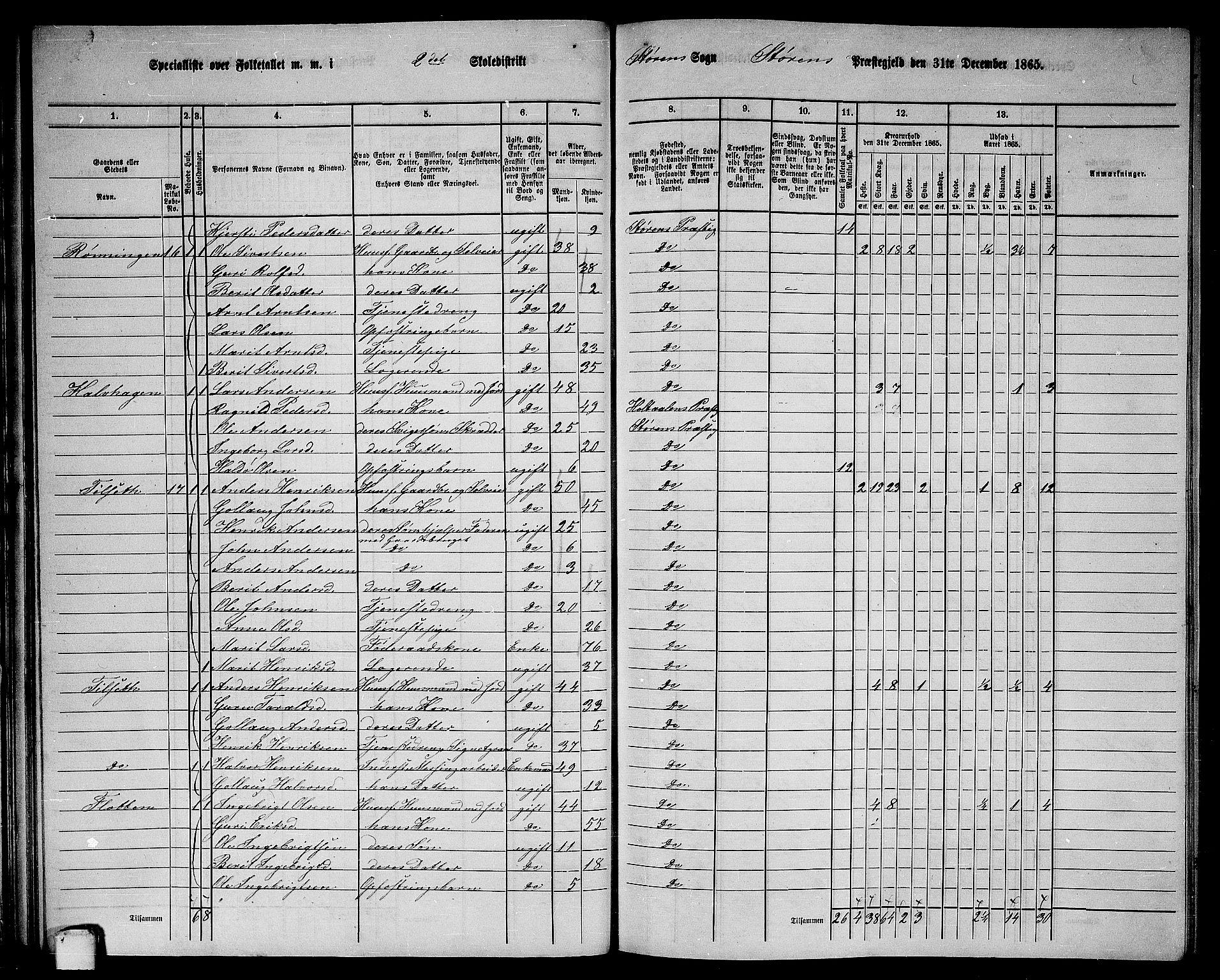 RA, 1865 census for Støren, 1865, p. 41