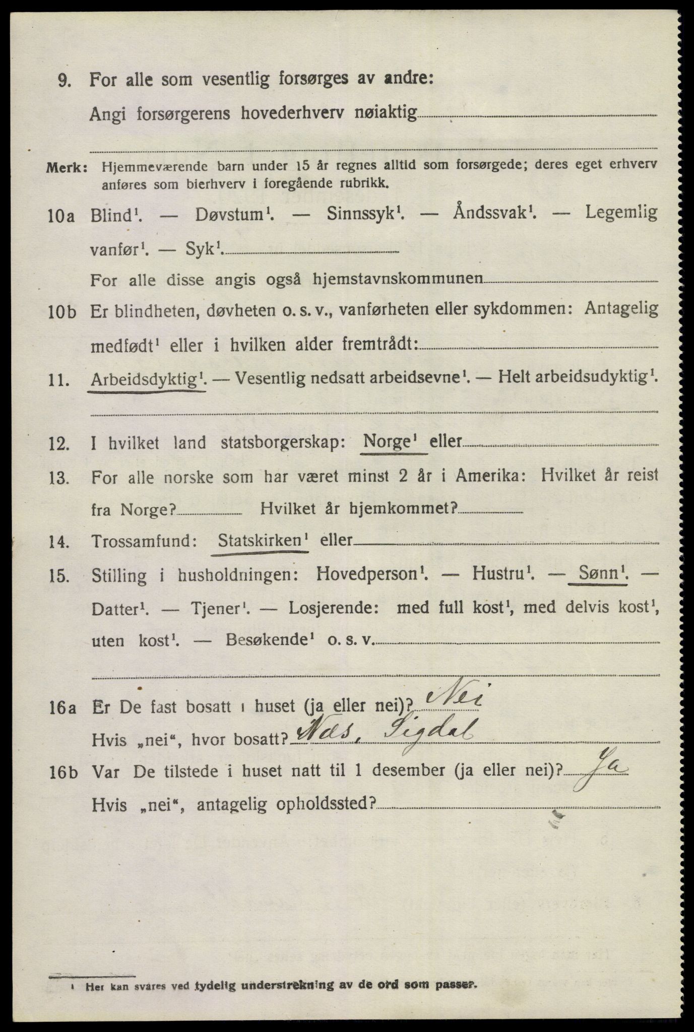 SAKO, 1920 census for Sigdal, 1920, p. 5993