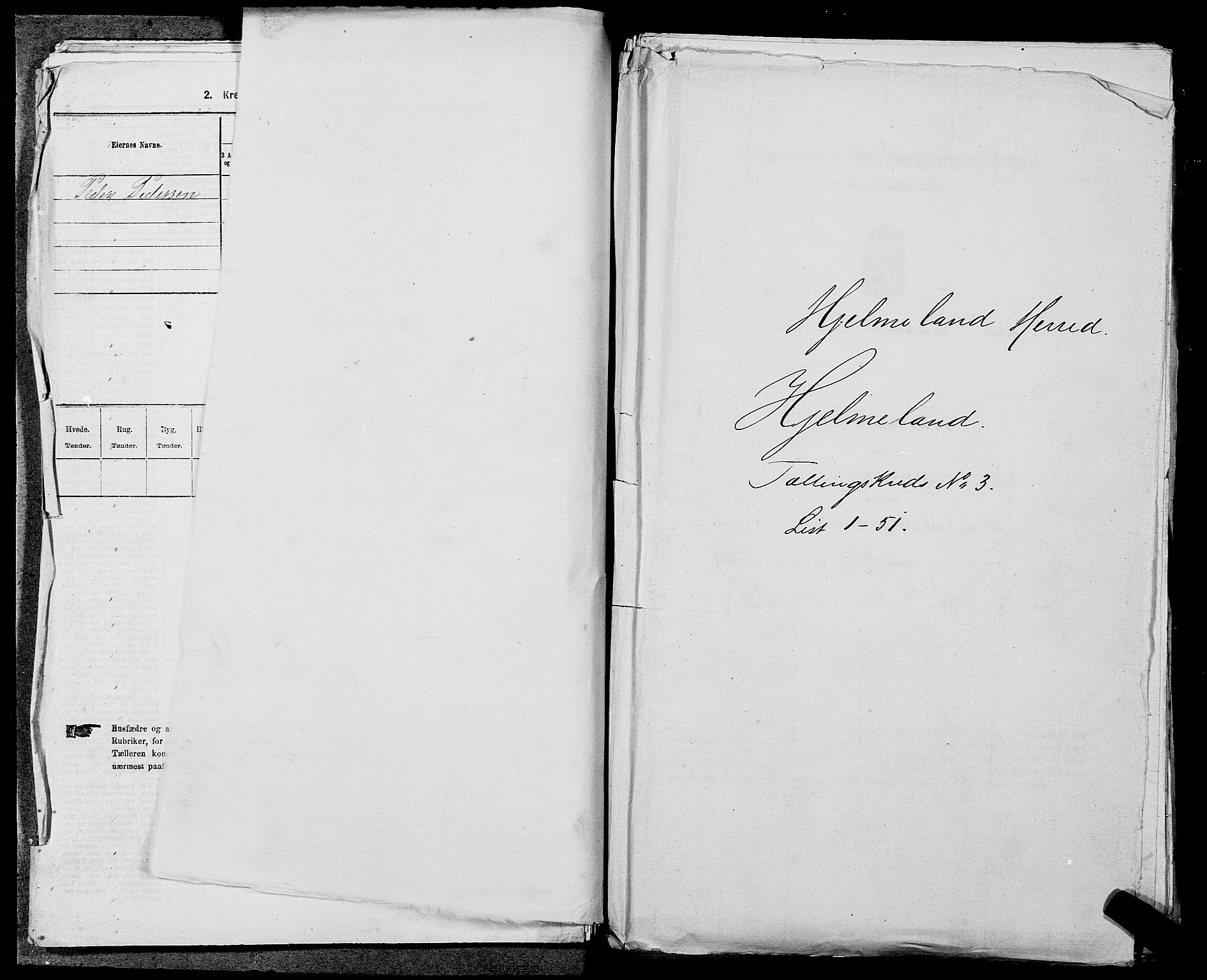 SAST, 1875 census for 1133P Hjelmeland, 1875, p. 318