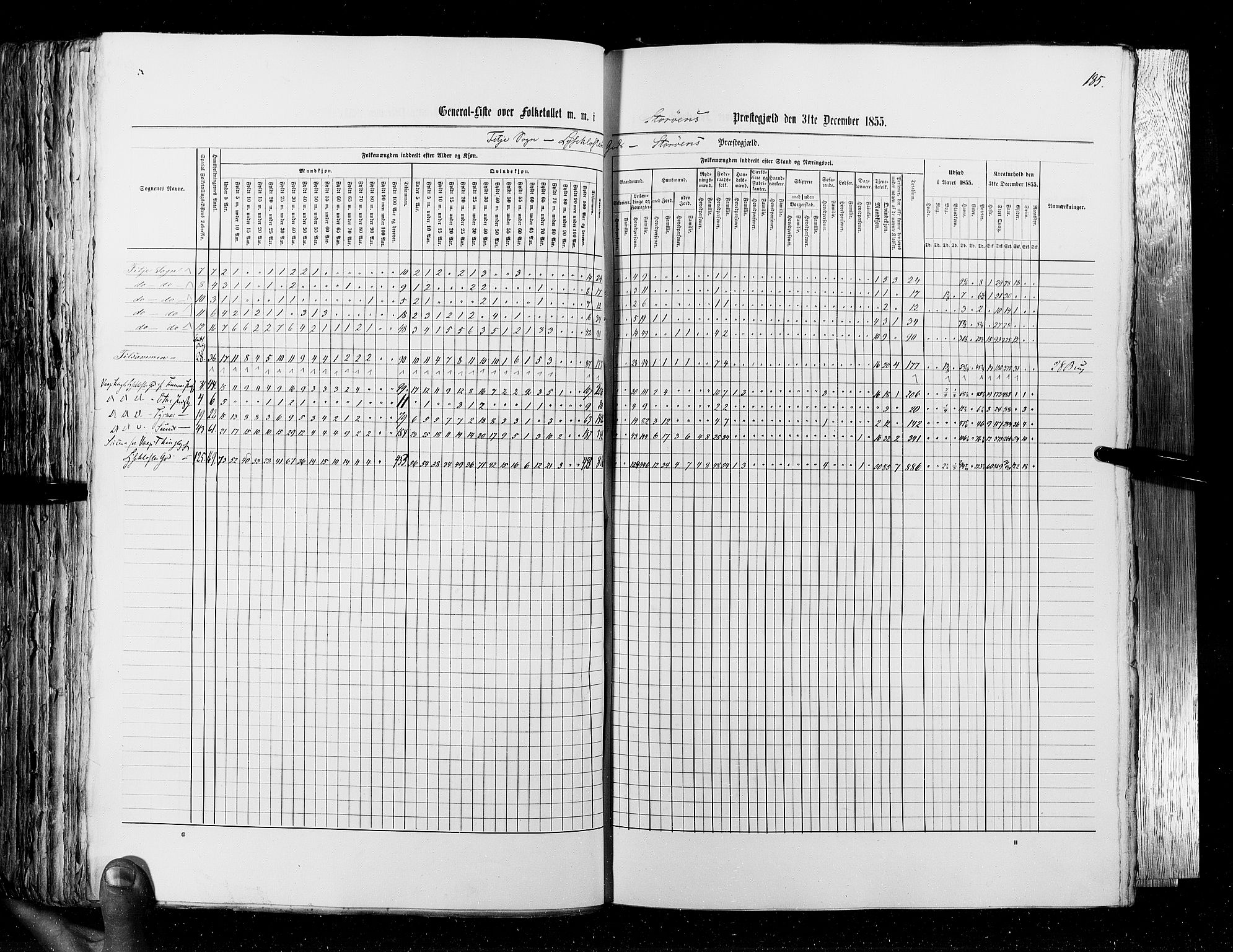 RA, Census 1855, vol. 4: Stavanger amt og Søndre Bergenhus amt, 1855, p. 185