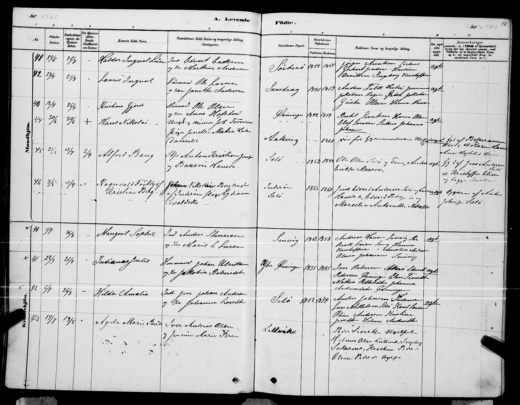 Ministerialprotokoller, klokkerbøker og fødselsregistre - Nordland, AV/SAT-A-1459/834/L0513: Parish register (copy) no. 834C04, 1877-1892, p. 86