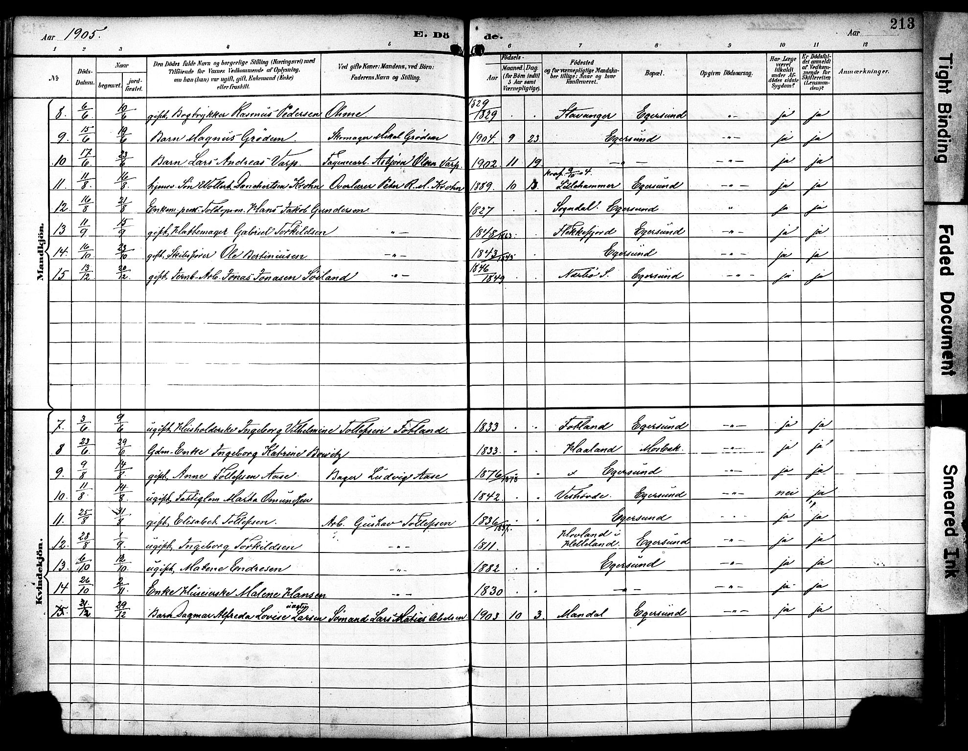 Eigersund sokneprestkontor, AV/SAST-A-101807/S08/L0019: Parish register (official) no. A 18, 1892-1905, p. 213