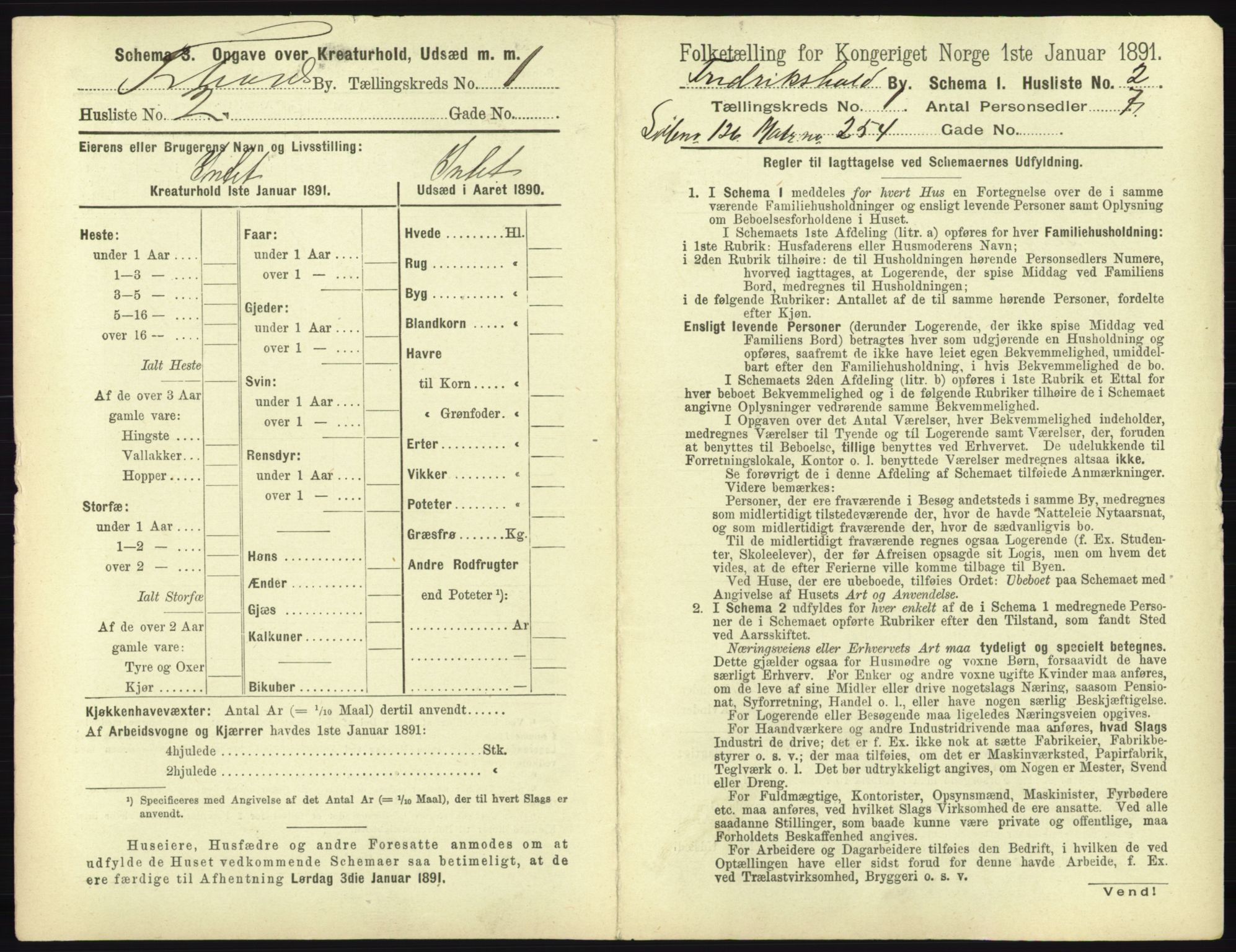 RA, 1891 census for 0101 Fredrikshald, 1891, p. 54