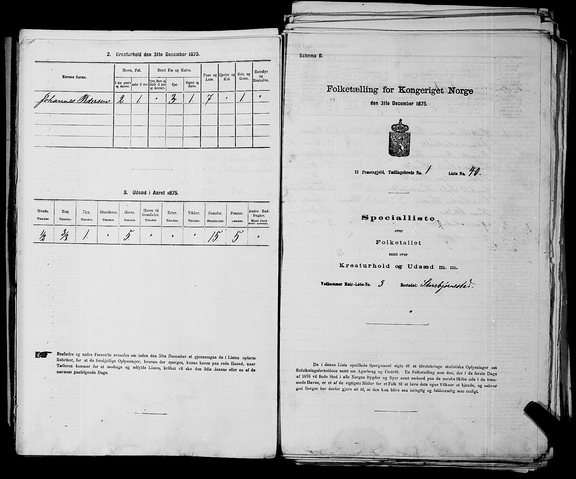 RA, 1875 census for 0117P Idd, 1875, p. 62