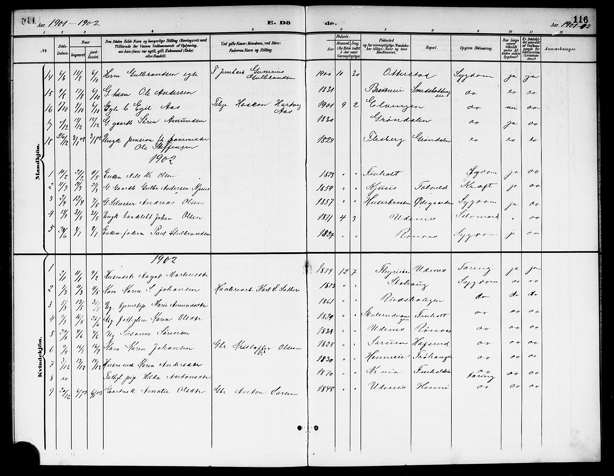 Nes prestekontor Kirkebøker, AV/SAO-A-10410/G/Gb/L0001: Parish register (copy) no. II 1, 1901-1917, p. 116